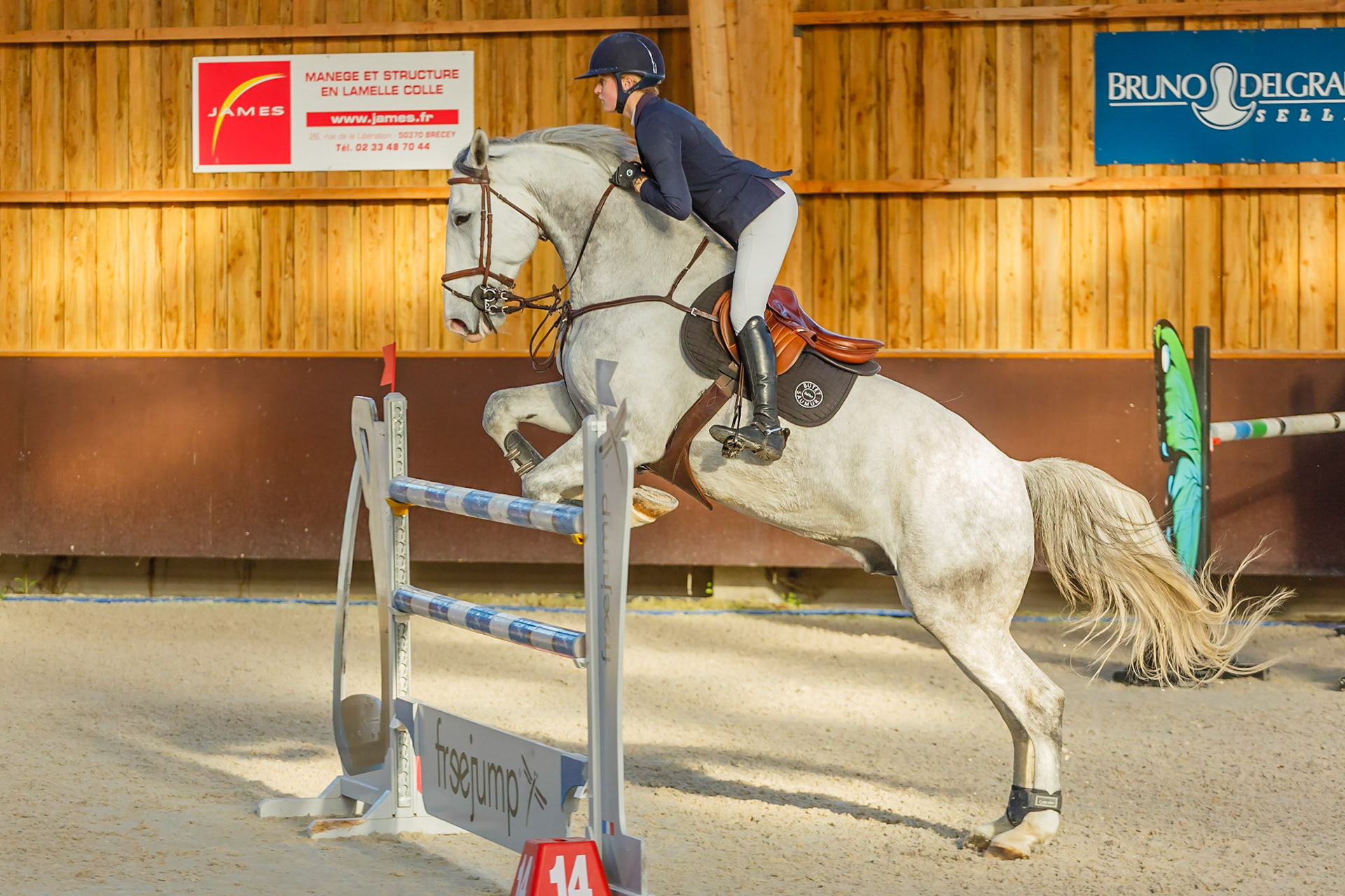 Concours hippique Liverdy-en Brie (77)
