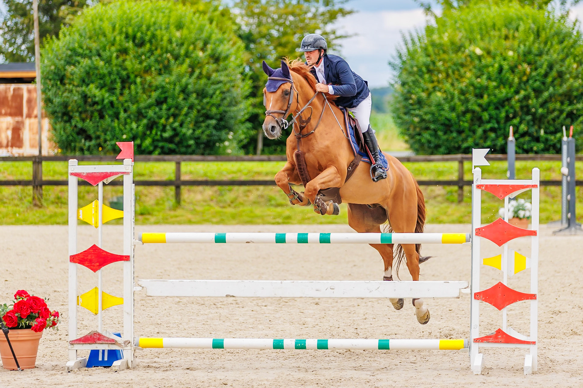 13 juillet 2024 / Haras de Liverdy-en-Brie / Seine-et-Marne / Saut d'obstacles Pro 3 Grand Prix (1.25 m)