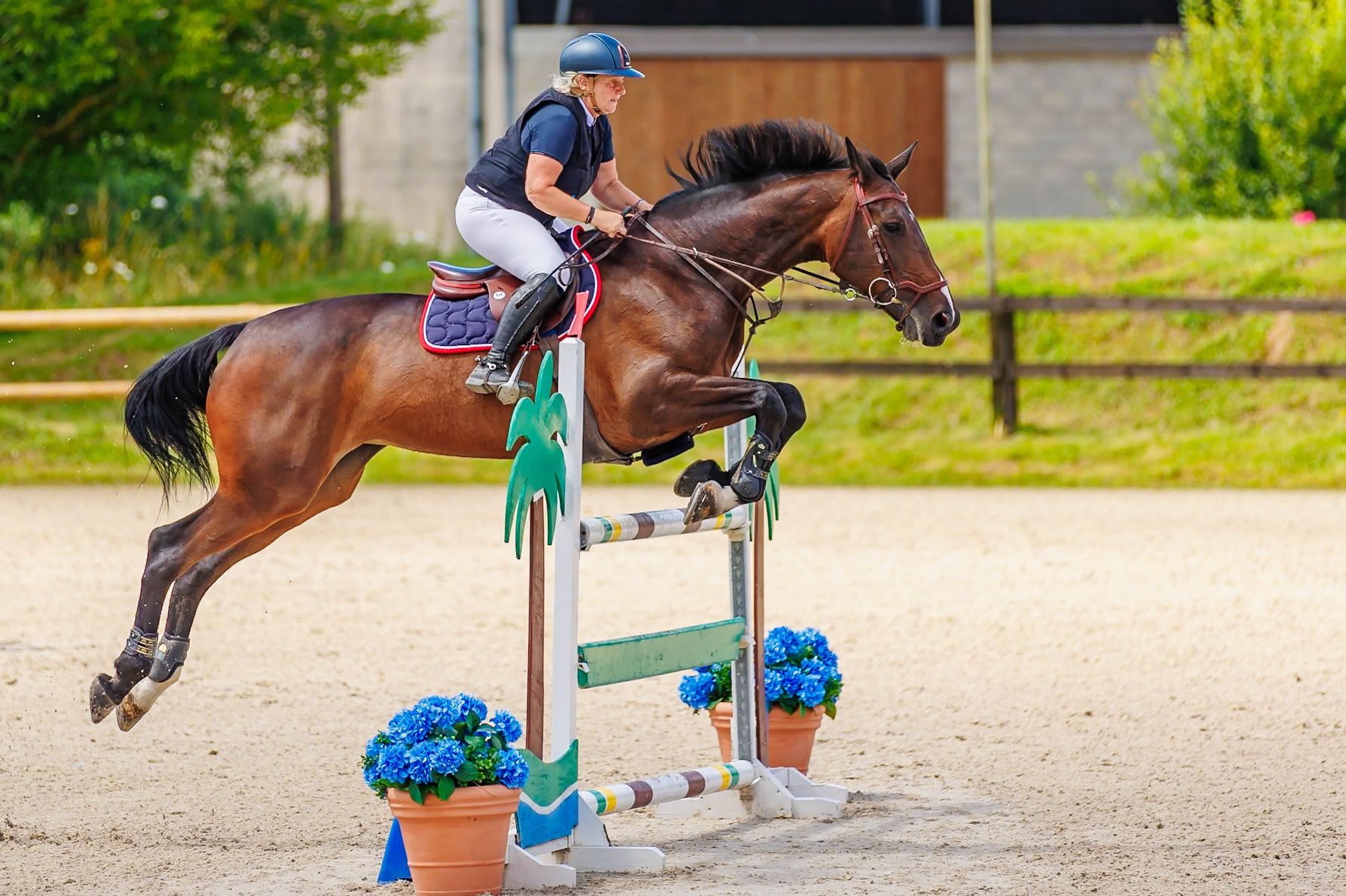 13 juillet 2024 / Haras de Liverdy-en-Brie / Seine-et-Marne / Saut d'obstacles Amateur 1  Grand Prix (1.20 m)