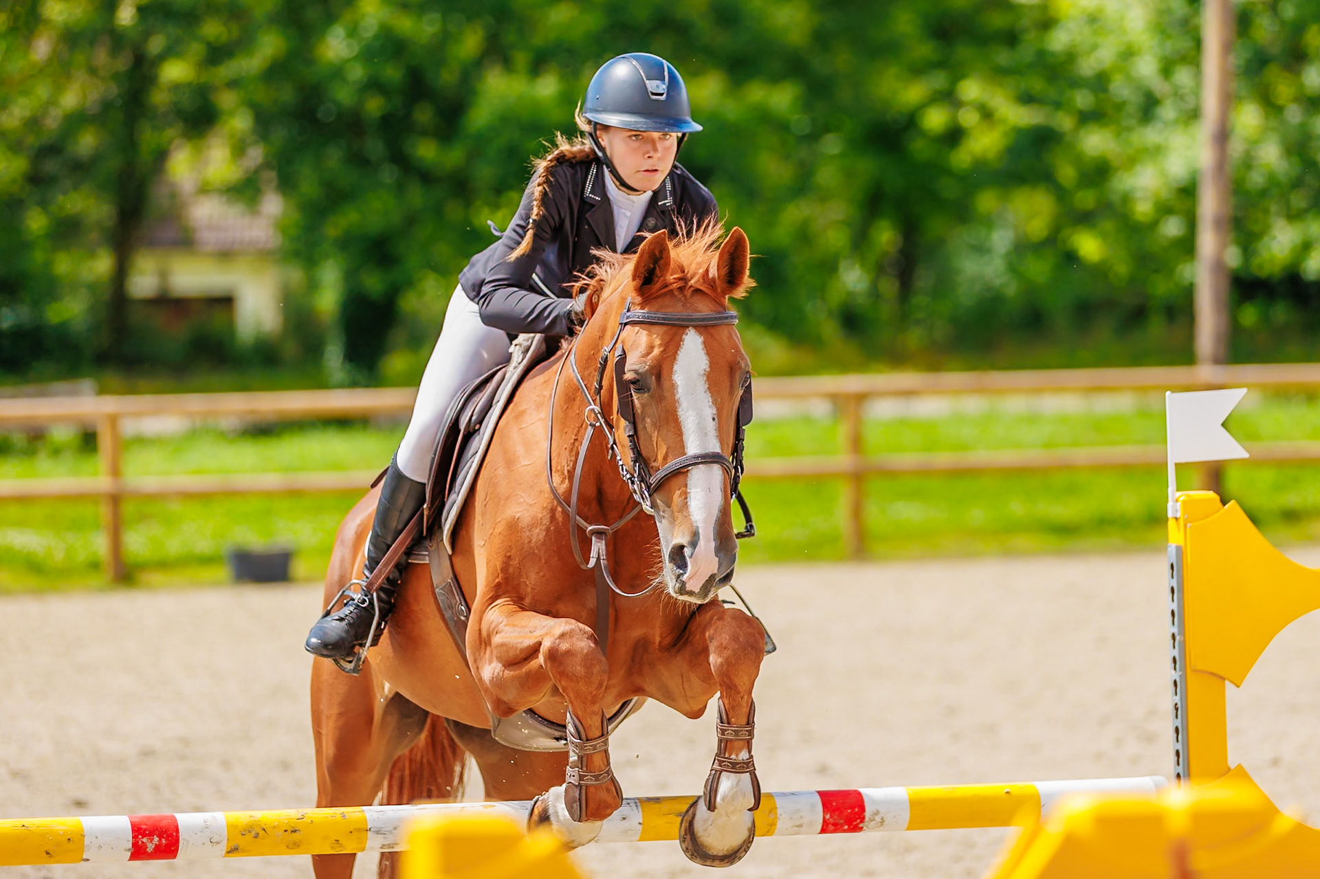 13 juillet 2024 / Haras de Liverdy-en-Brie / Seine-et-Marne / Saut d'obstacles Amateur 1  Grand Prix (1.20 m)