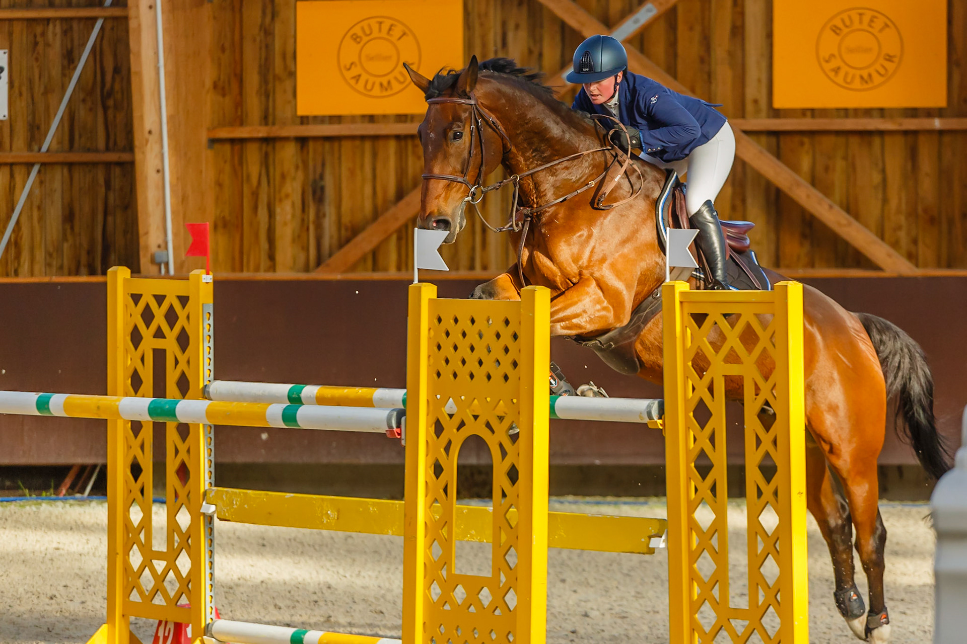 Concours hippique Liverdy-en Brie (77)
