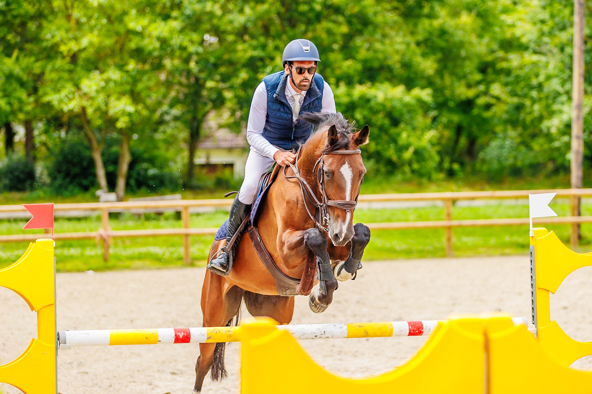 13 juillet 2024 / Haras de Liverdy-en-Brie / Seine-et-Marne / Saut d'obstacles Pro 3 Grand Prix (1.25 m)
