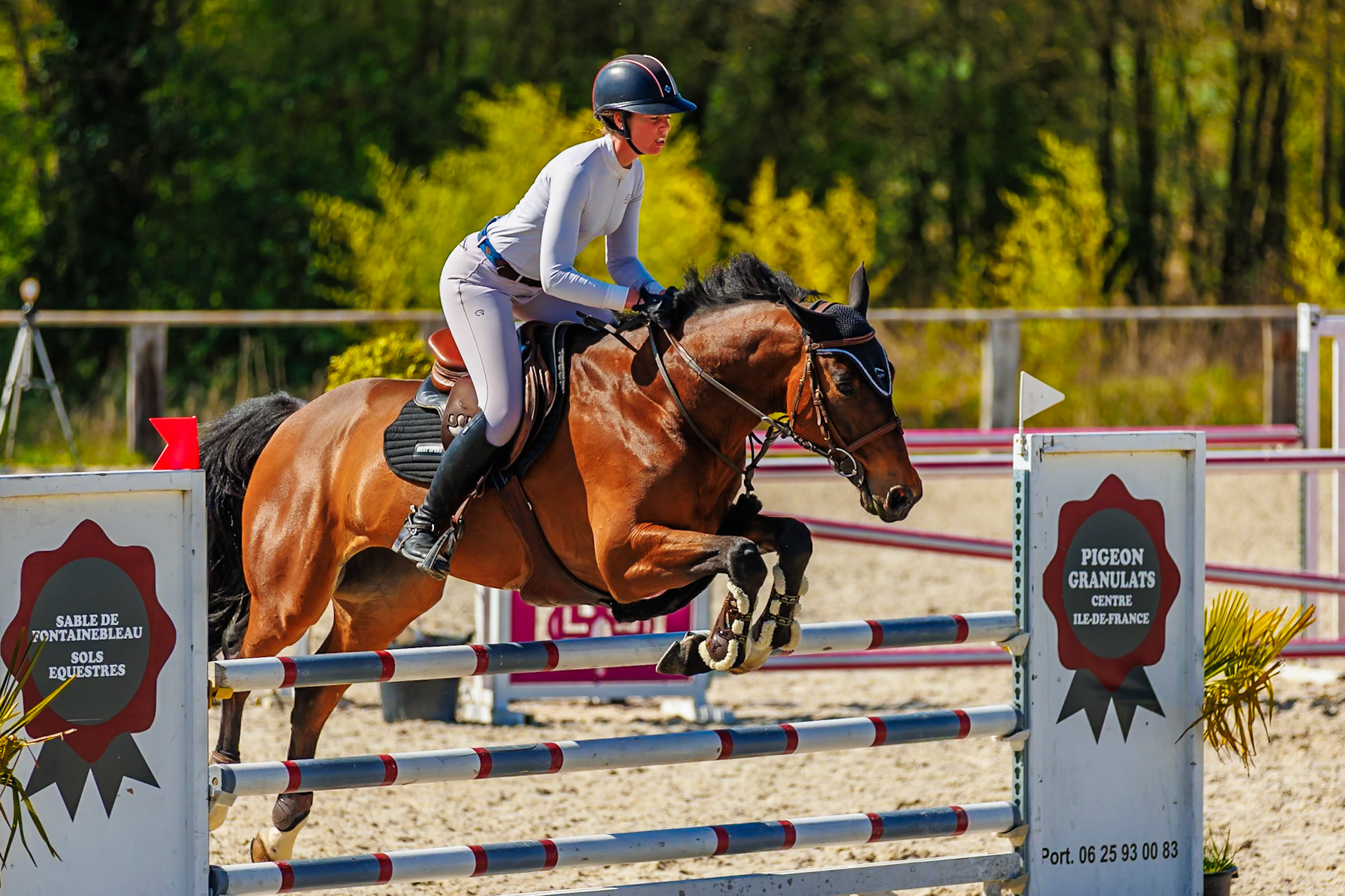 CSO Haras de Monthomé 64