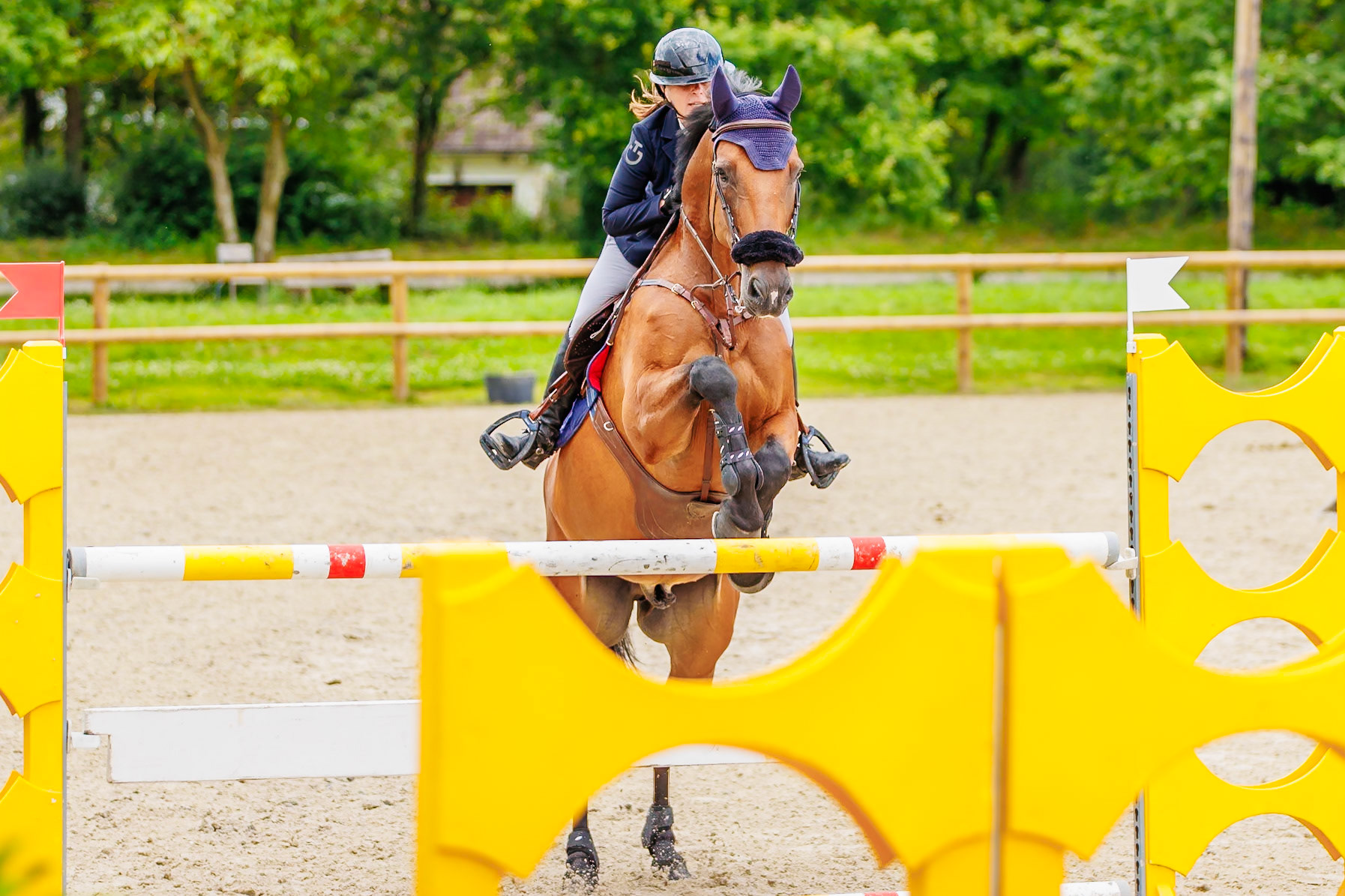 13 juillet 2024 / Haras de Liverdy-en-Brie / Seine-et-Marne / Saut d'obstacles Pro 3 Grand Prix (1.25 m)