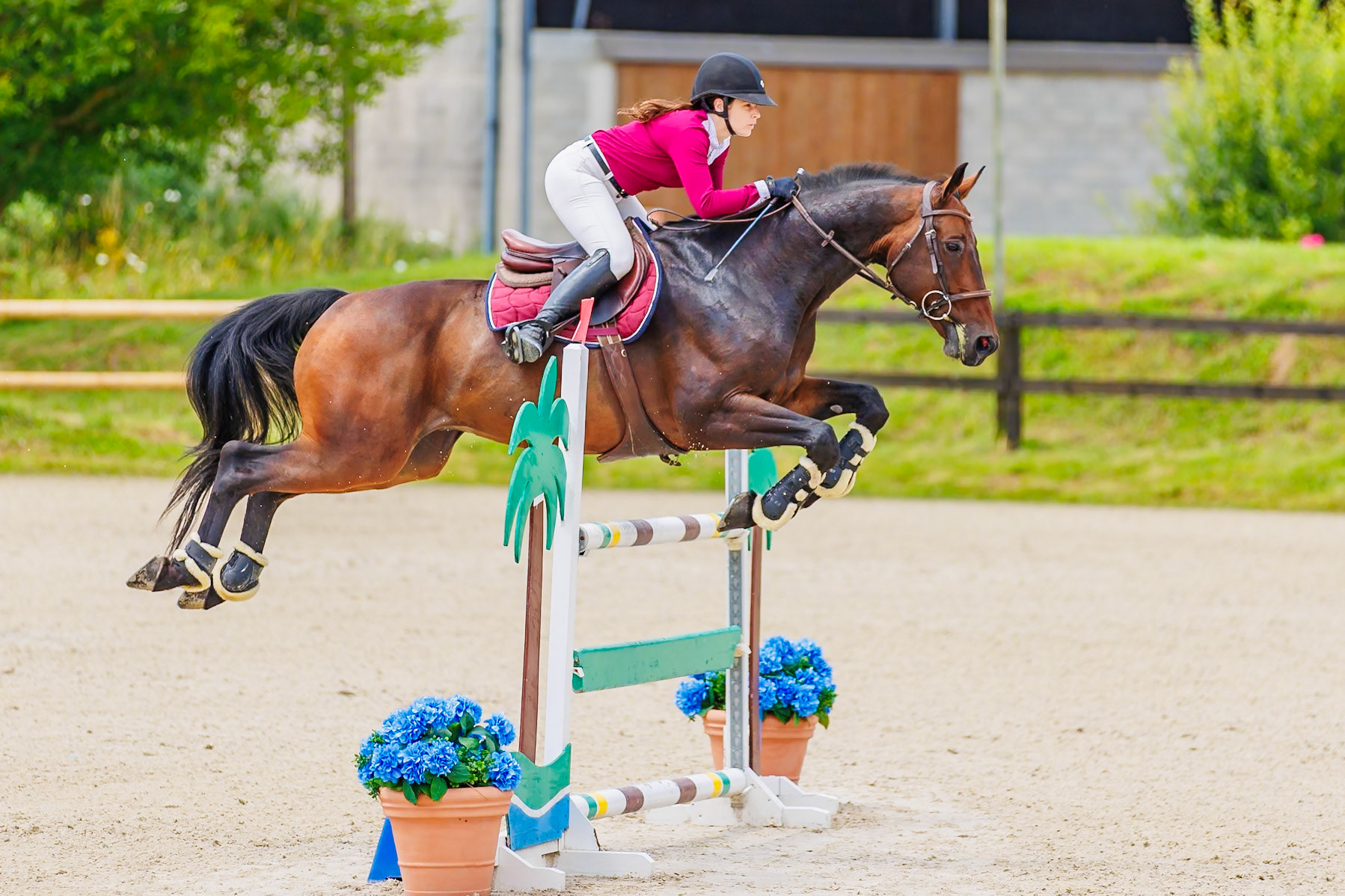13 juillet 2024 / Haras de Liverdy-en-Brie / Seine-et-Marne / Saut d'obstacles Amateur 1  Grand Prix (1.20 m)