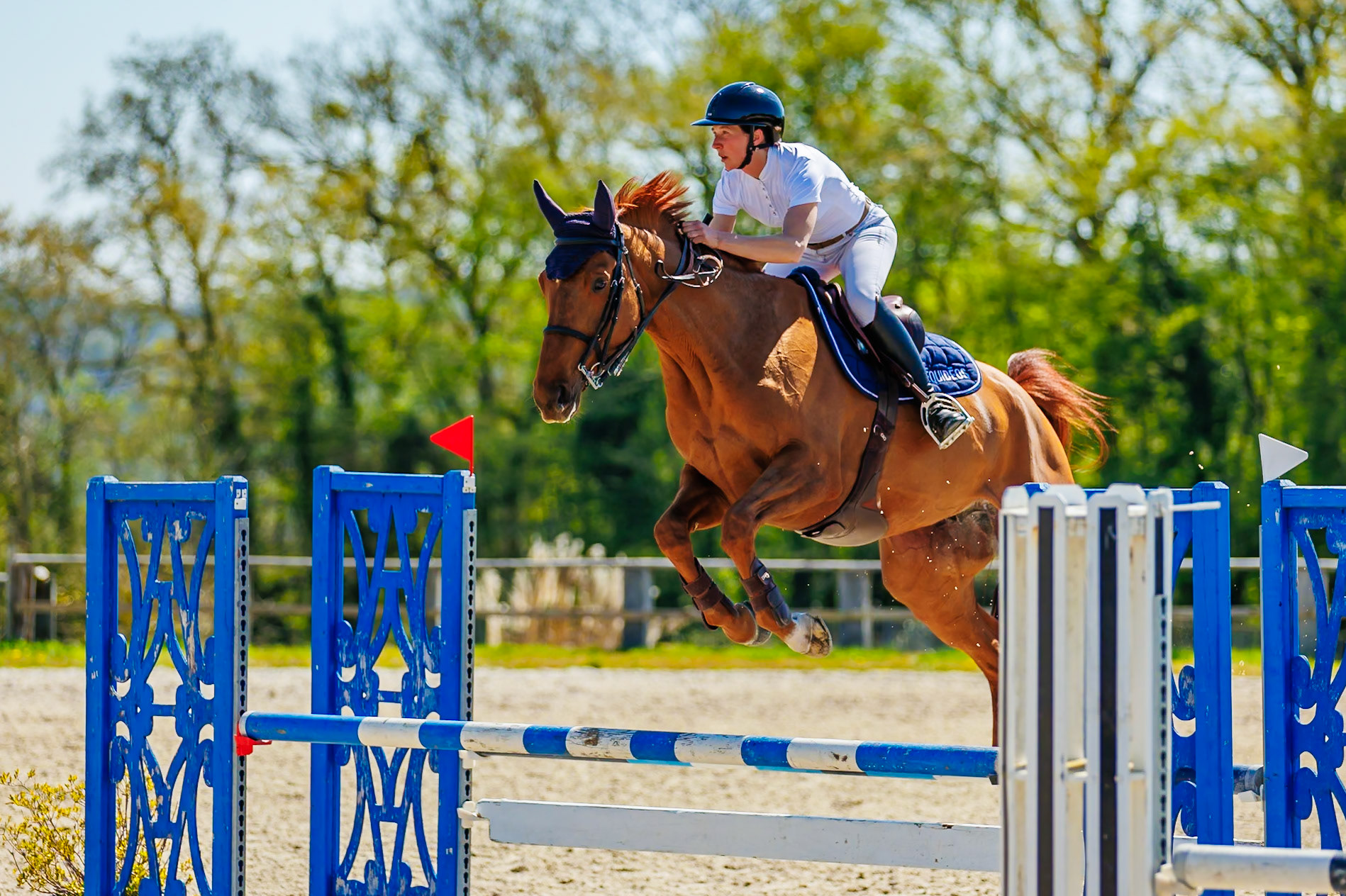 CSO Haras de Monthomé 18