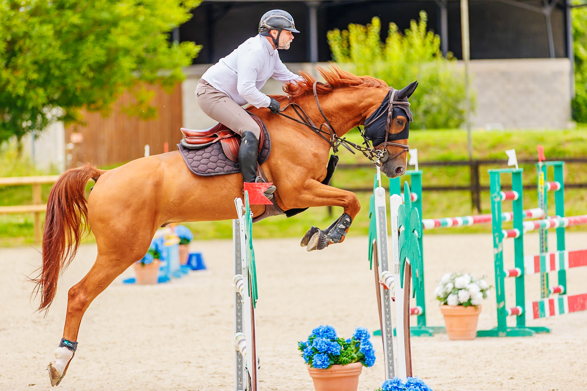 13 juillet 2024 / Haras de Liverdy-en-Brie / Seine-et-Marne / Saut d'obstacles Pro 3 Grand Prix (1.25 m)