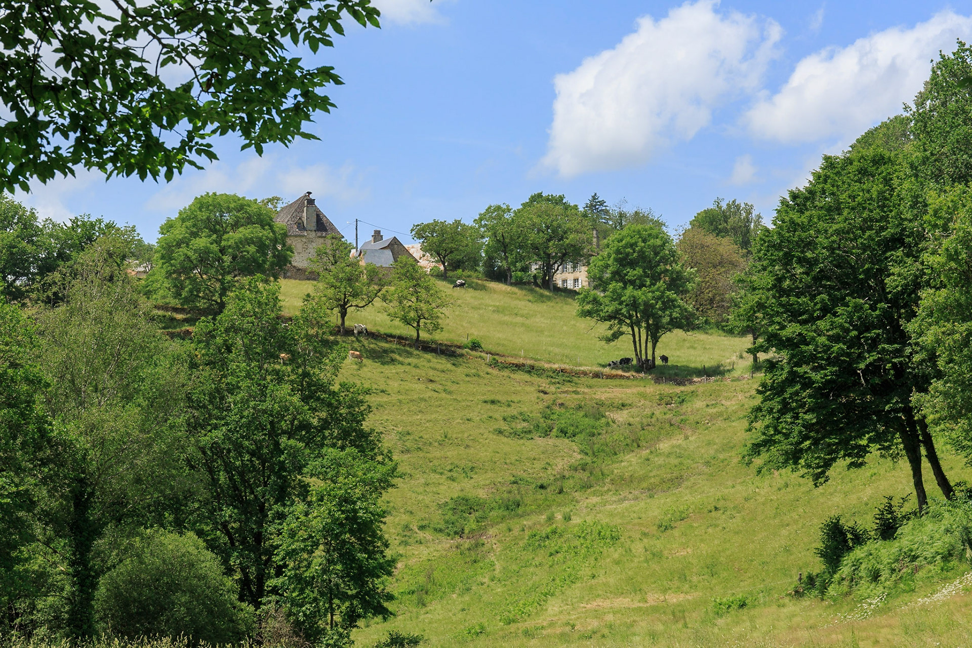 Saint julien au Bois