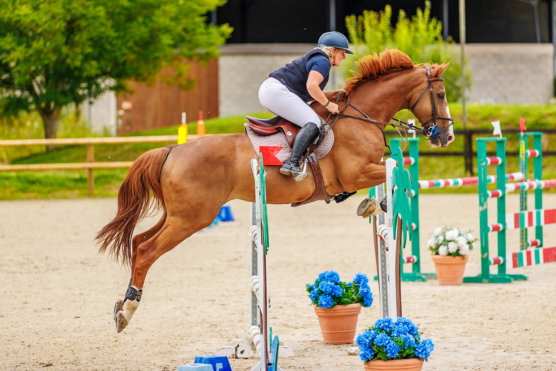 13 juillet 2024 / Haras de Liverdy-en-Brie / Seine-et-Marne / Saut d'obstacles Pro 3 Grand Prix (1.25 m)