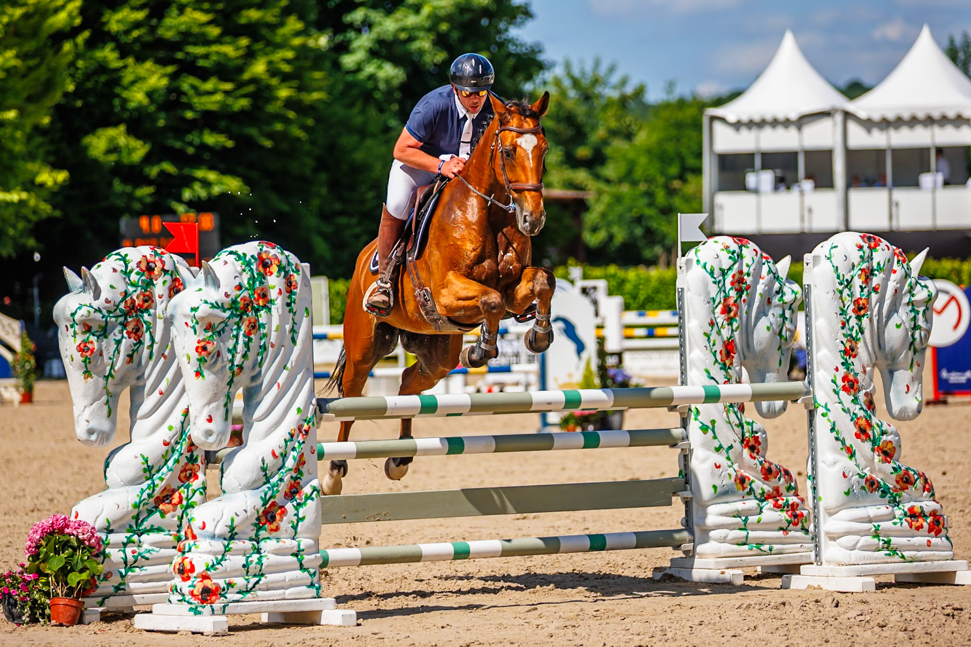 Royal Jump au Château de Brétichère 80