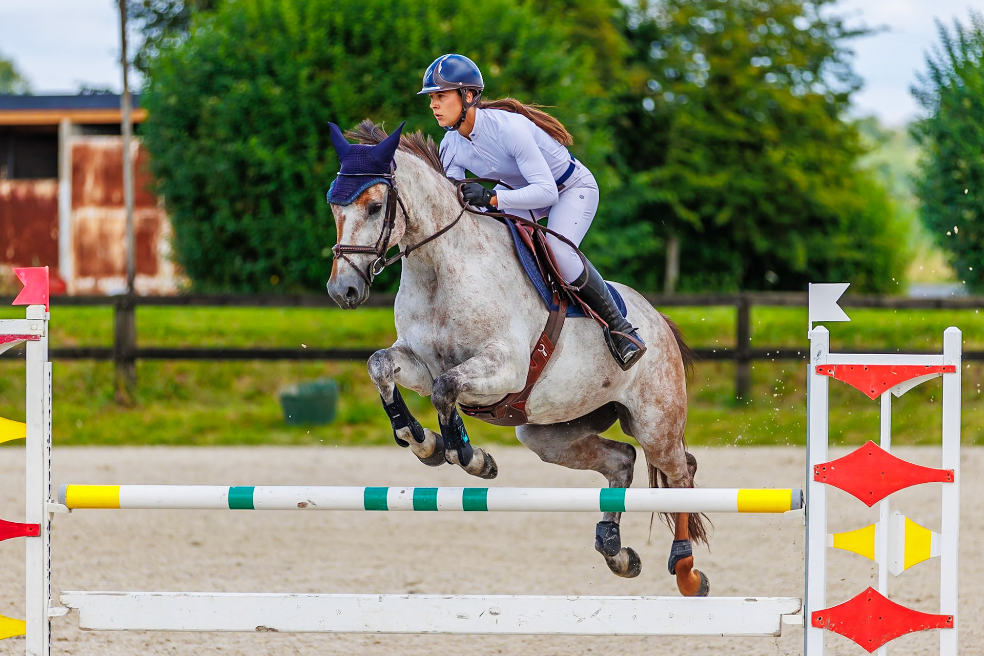 13 juillet 2024 / Haras de Liverdy-en-Brie / Seine-et-Marne / Saut d'obstacles Amateur 1  Grand Prix (1.20 m)