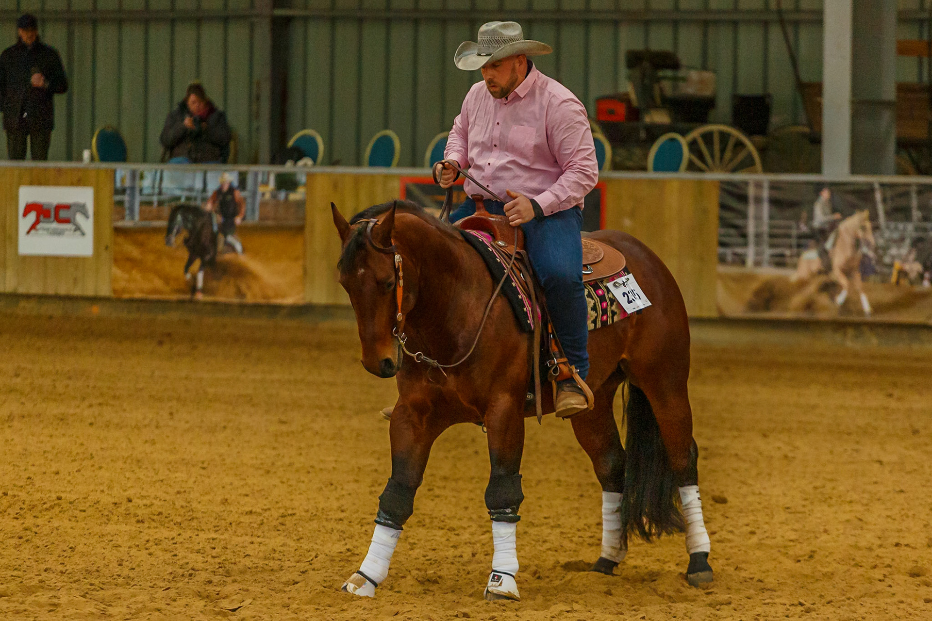 Equitation western Le Pin 12 mars 2022