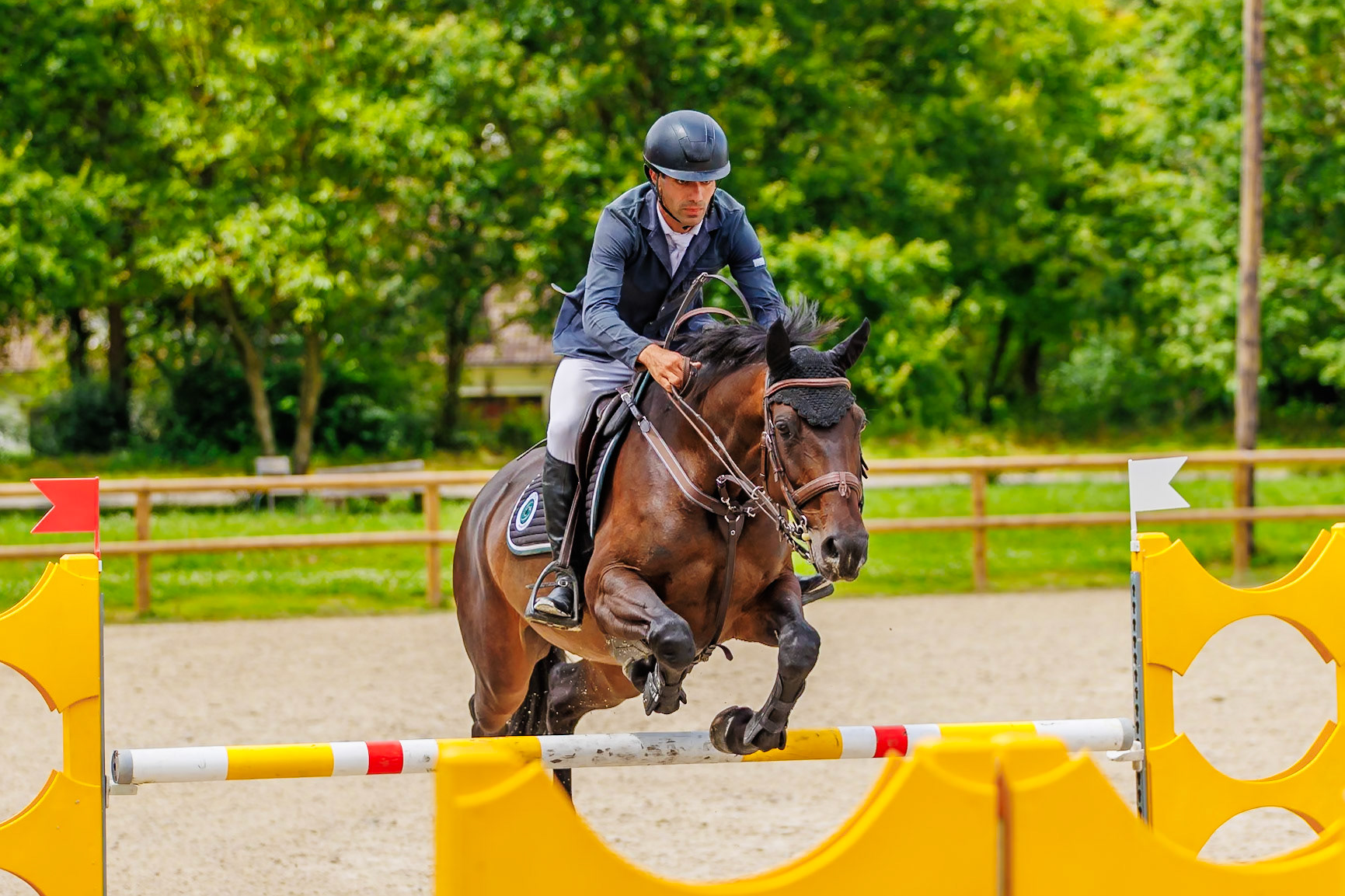 13 juillet 2024 / Haras de Liverdy-en-Brie / Seine-et-Marne / Saut d'obstacles Pro 3 Grand Prix (1.25 m)