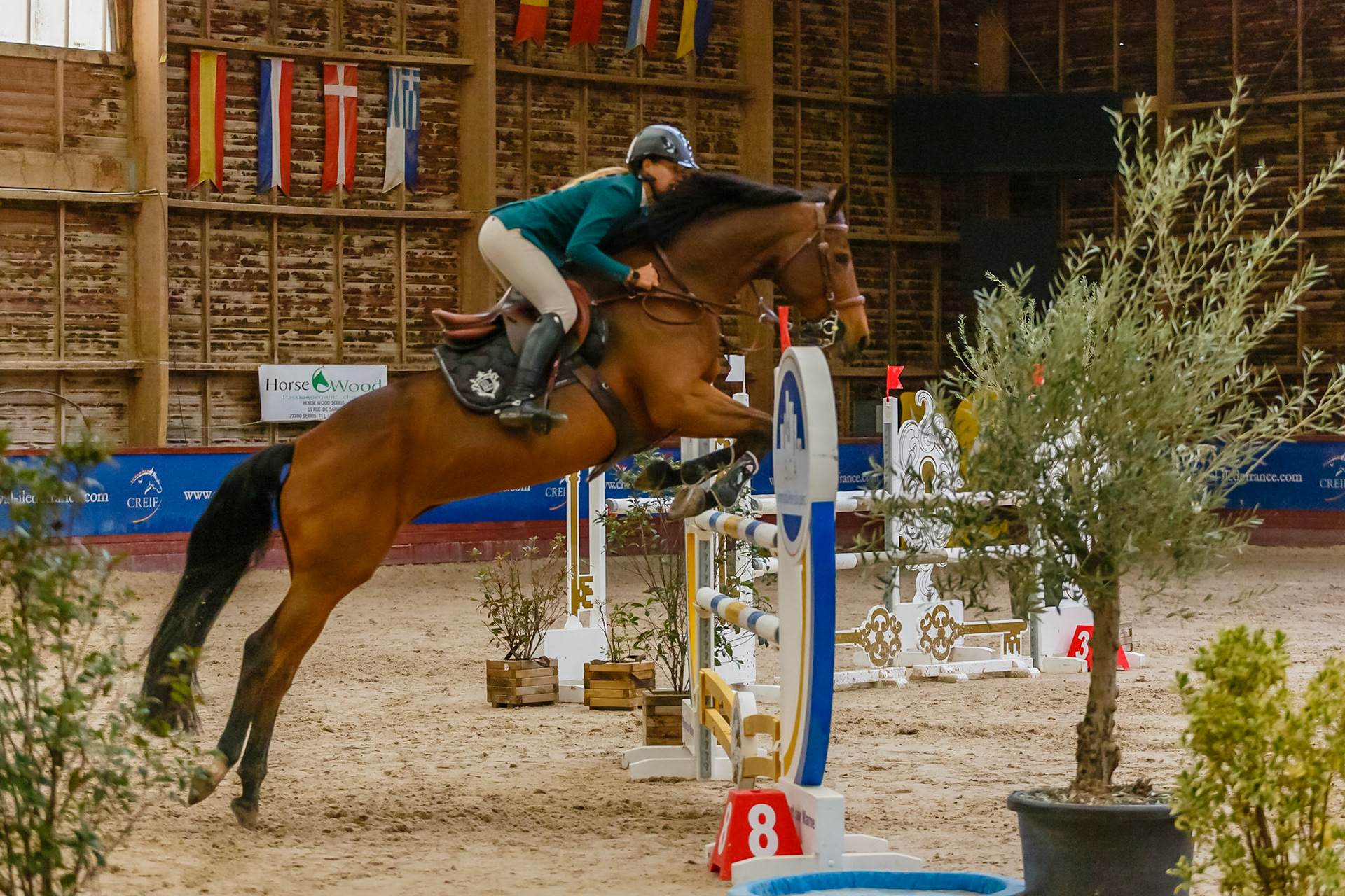 CSO Ozoir-la-Ferrière (77)