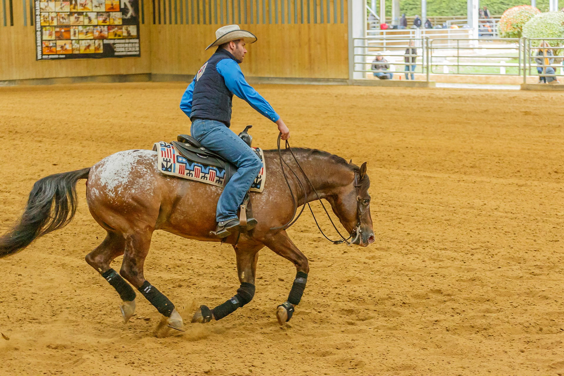 Equitation western Le Pin 12 mars 2022