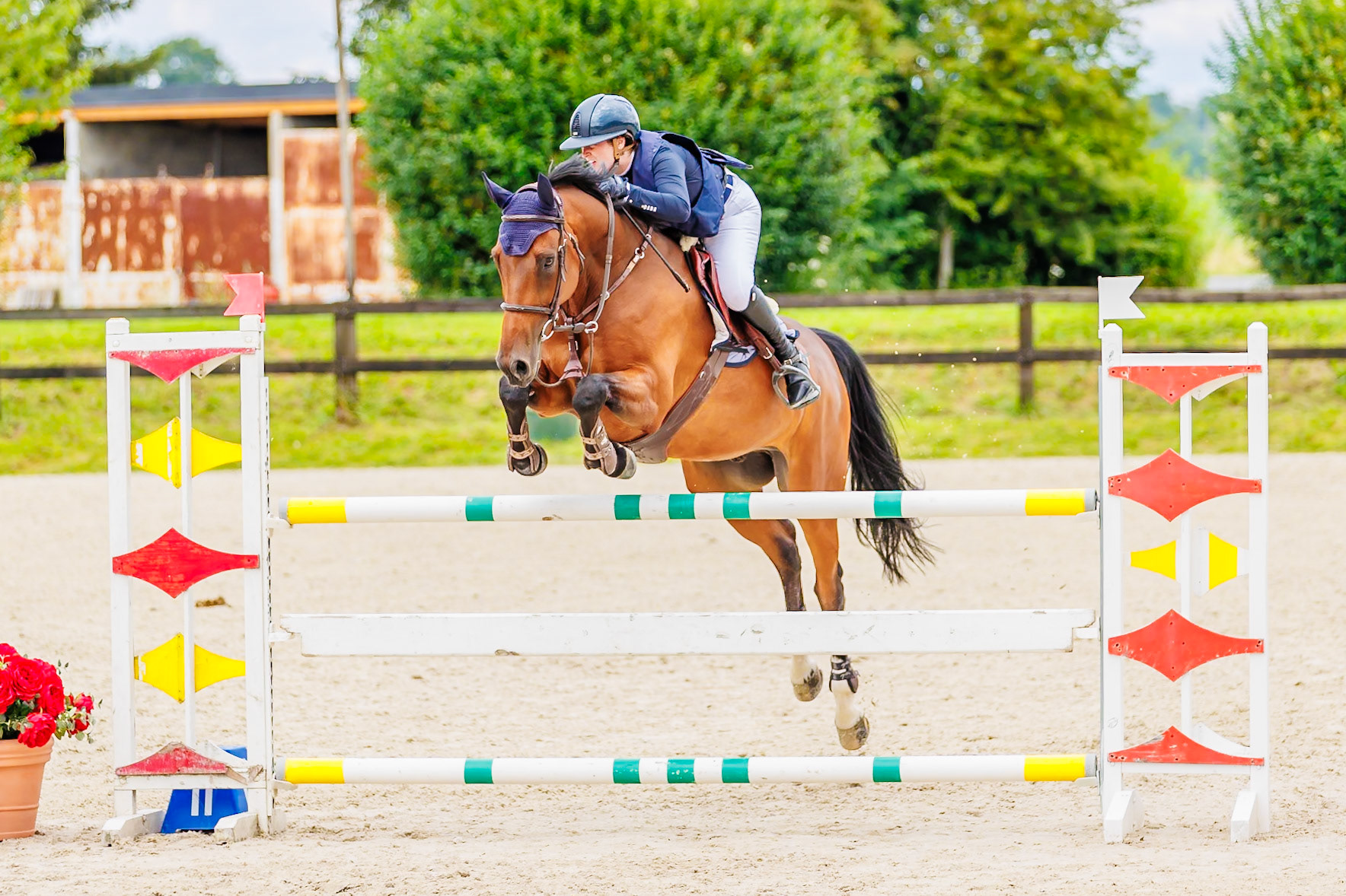 13 juillet 2024 / Haras de Liverdy-en-Brie / Seine-et-Marne / Saut d'obstacles Pro 3 Grand Prix (1.25 m)