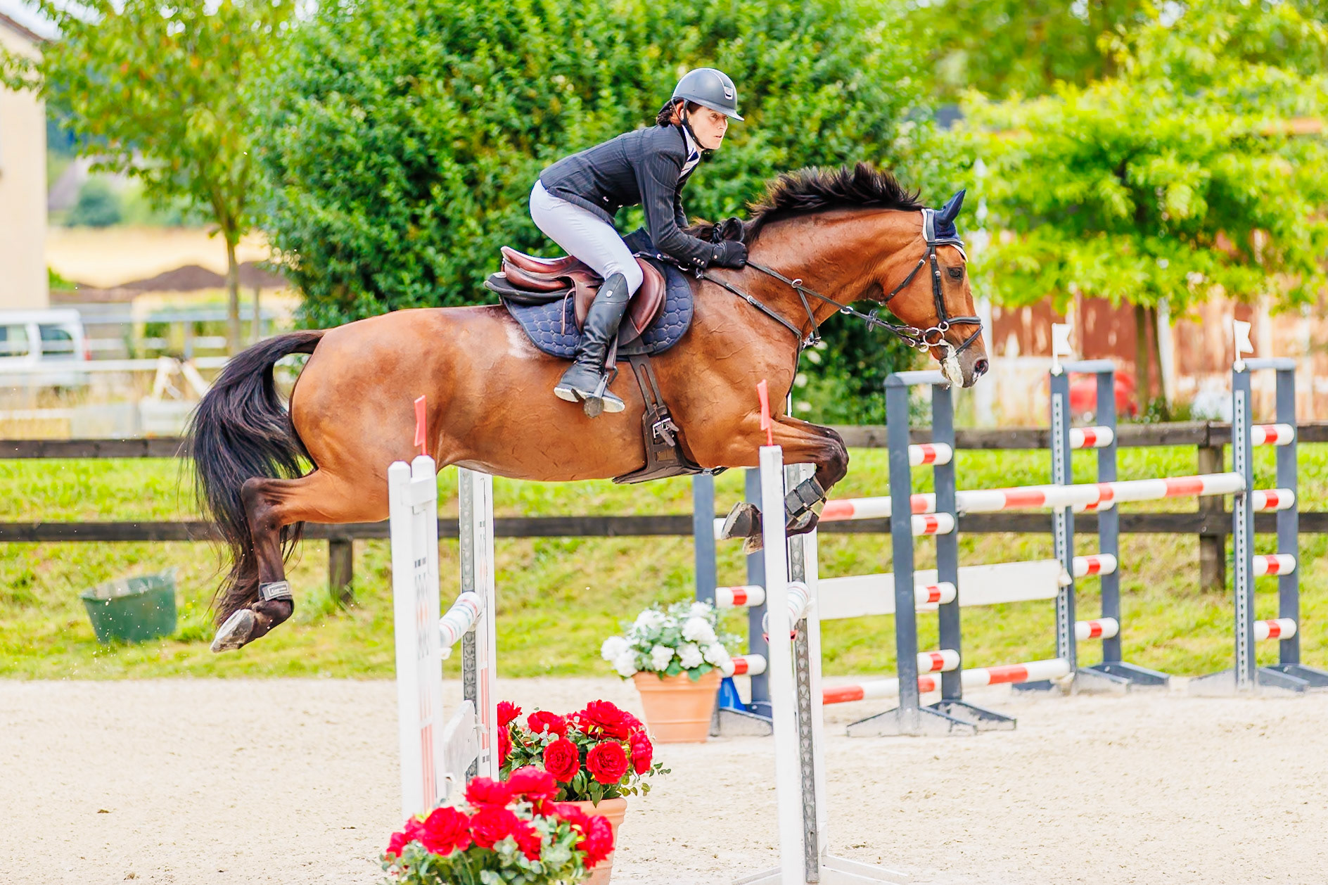 13 juillet 2024 / Haras de Liverdy-en-Brie / Seine-et-Marne / Saut d'obstacles Pro 3 Grand Prix (1.25 m)