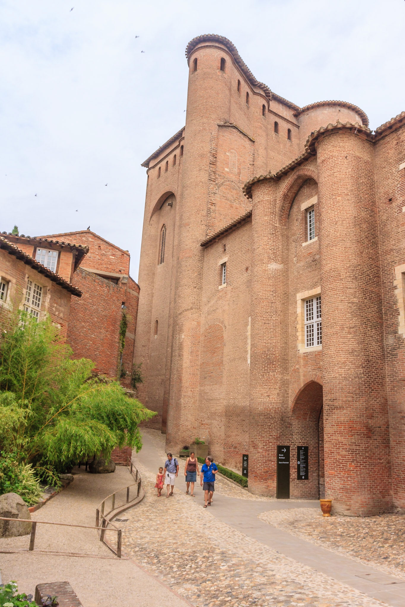 Albi
