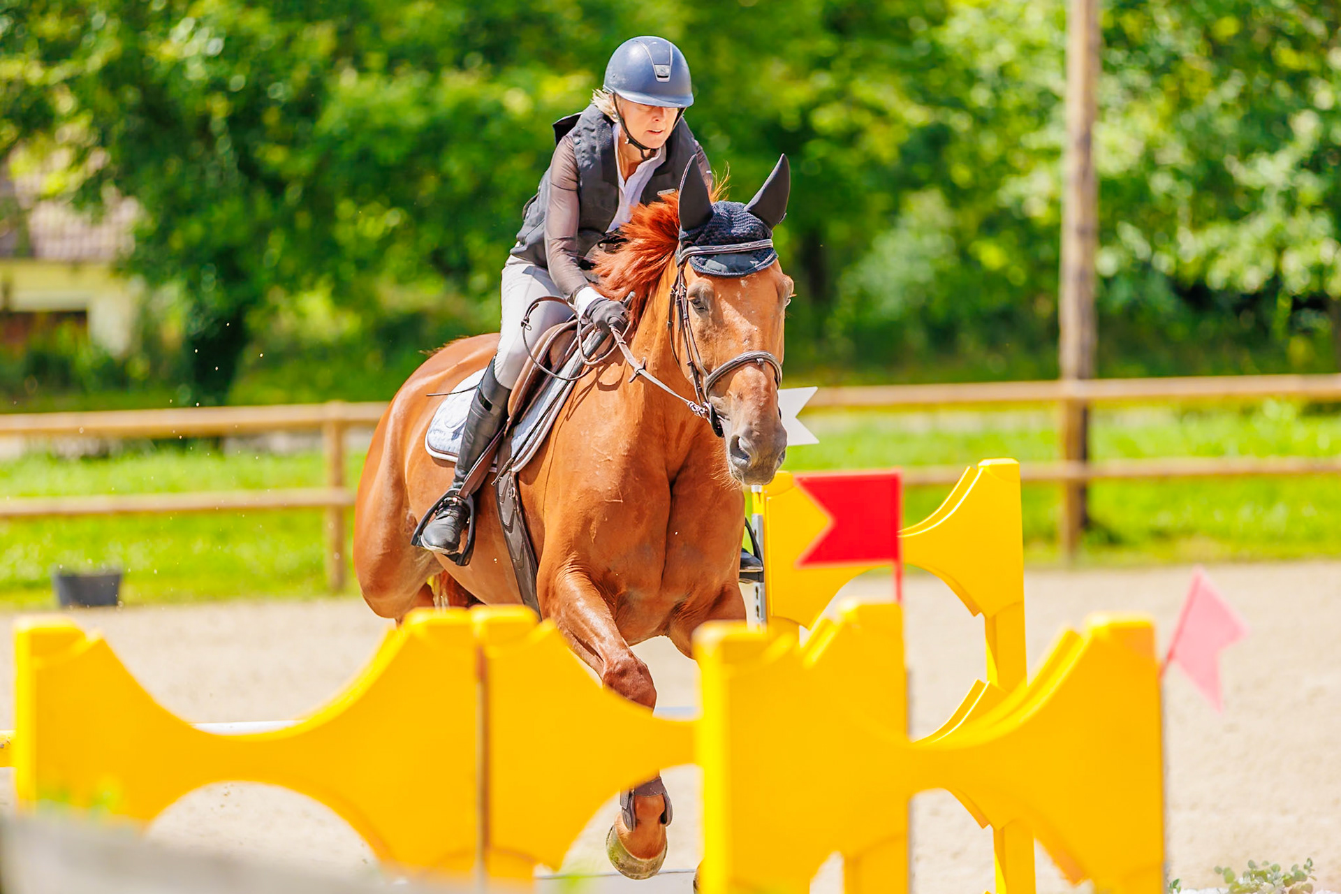 13 juillet 2024 / Haras de Liverdy-en-Brie / Seine-et-Marne / Saut d'obstacles Amateur 1  Grand Prix (1.20 m)