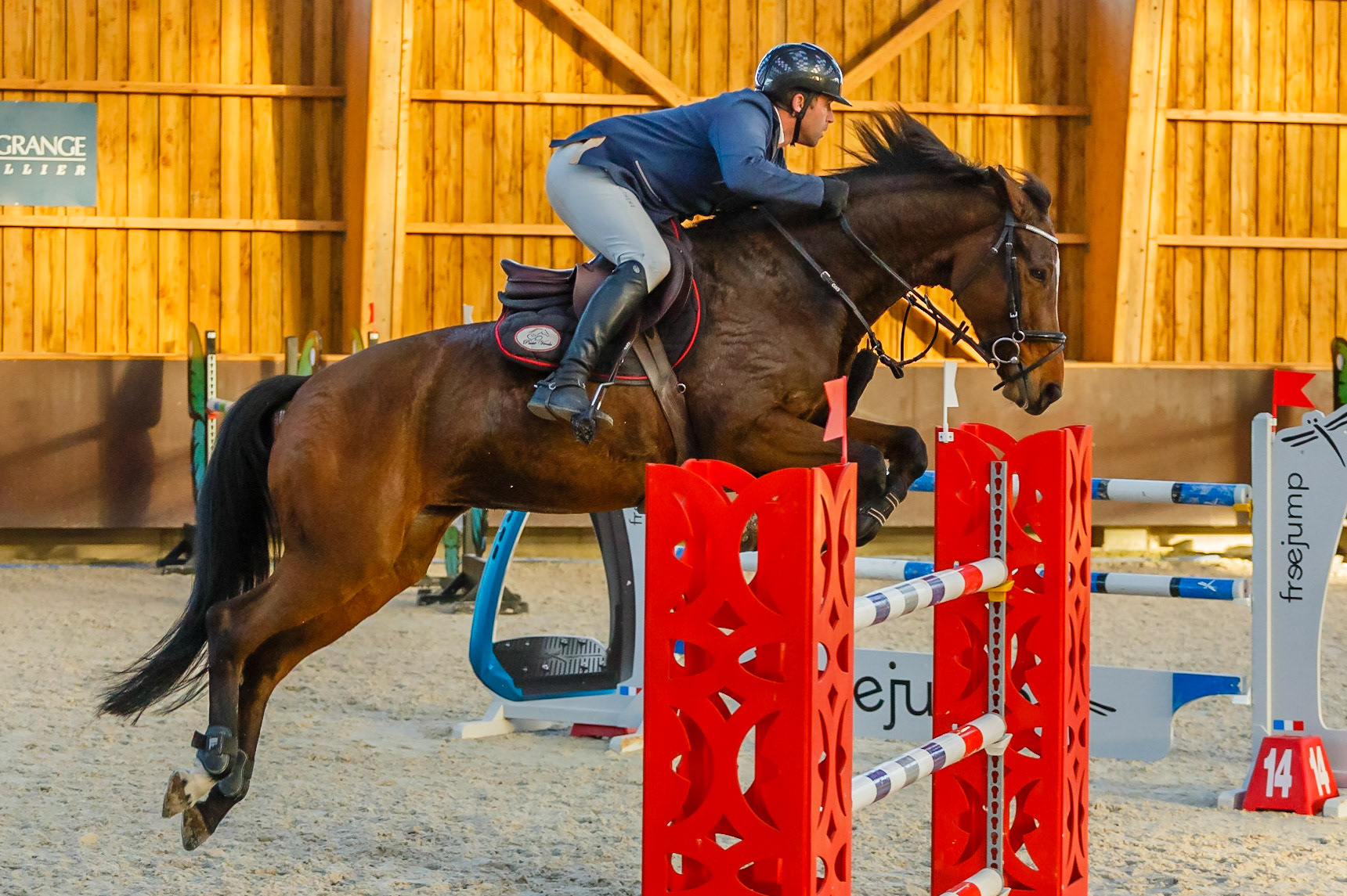 Concours hippique Liverdy-en Brie (77)
