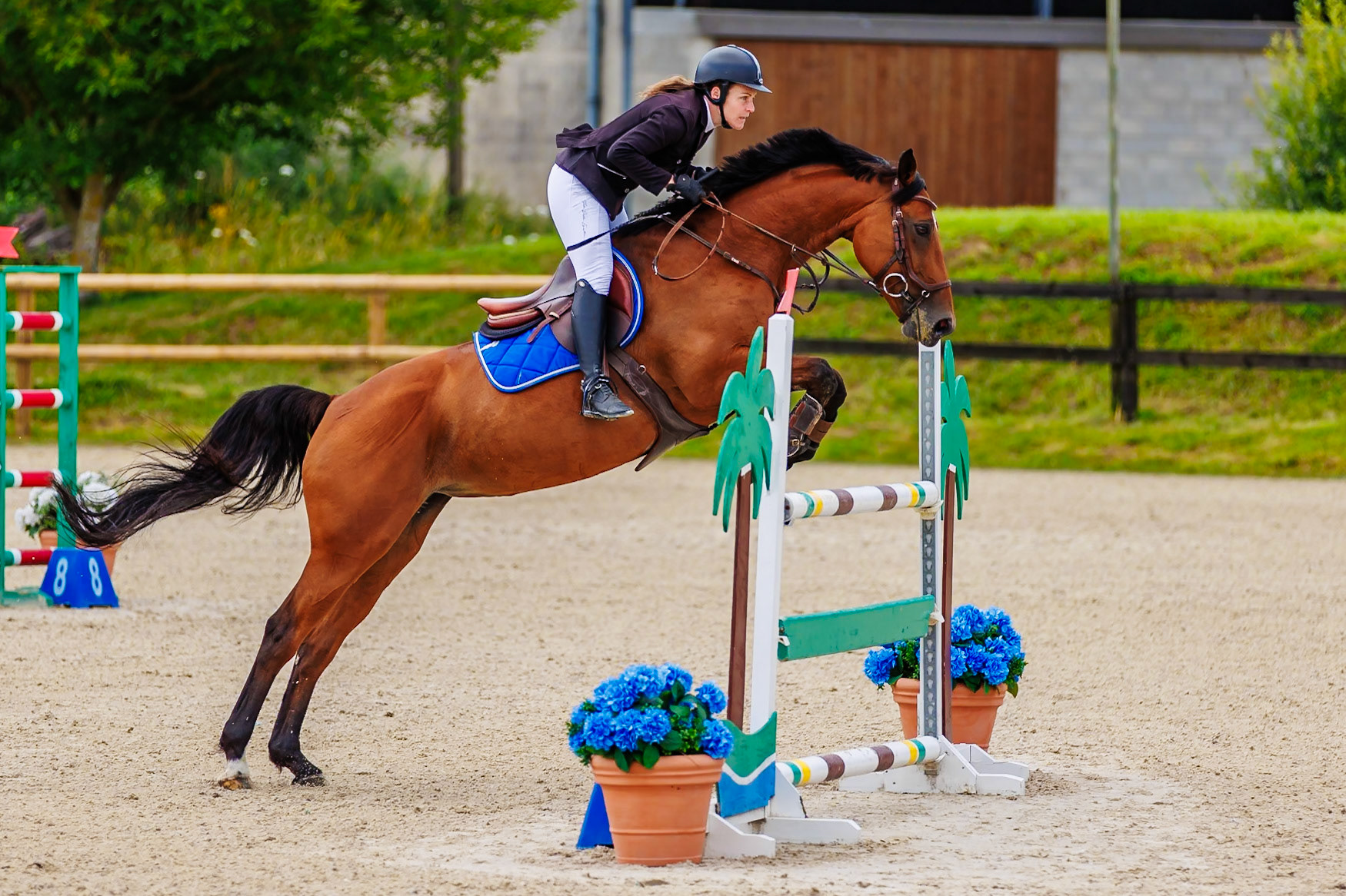 13 juillet 2024 / Haras de Liverdy-en-Brie / Seine-et-Marne / Saut d'obstacles Amateur 1  Grand Prix (1.20 m)