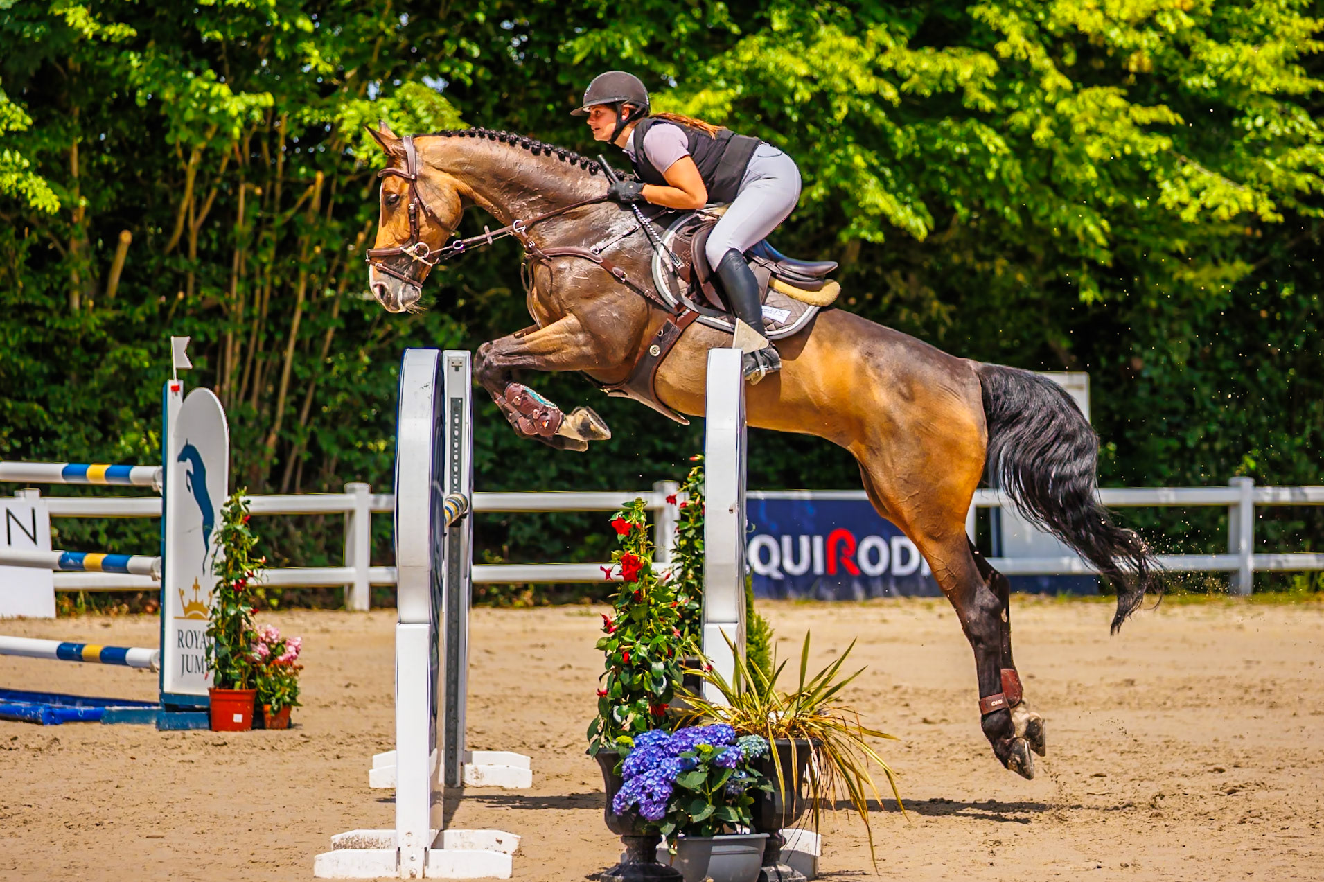 Royal Jump au Château de Brétichère 25