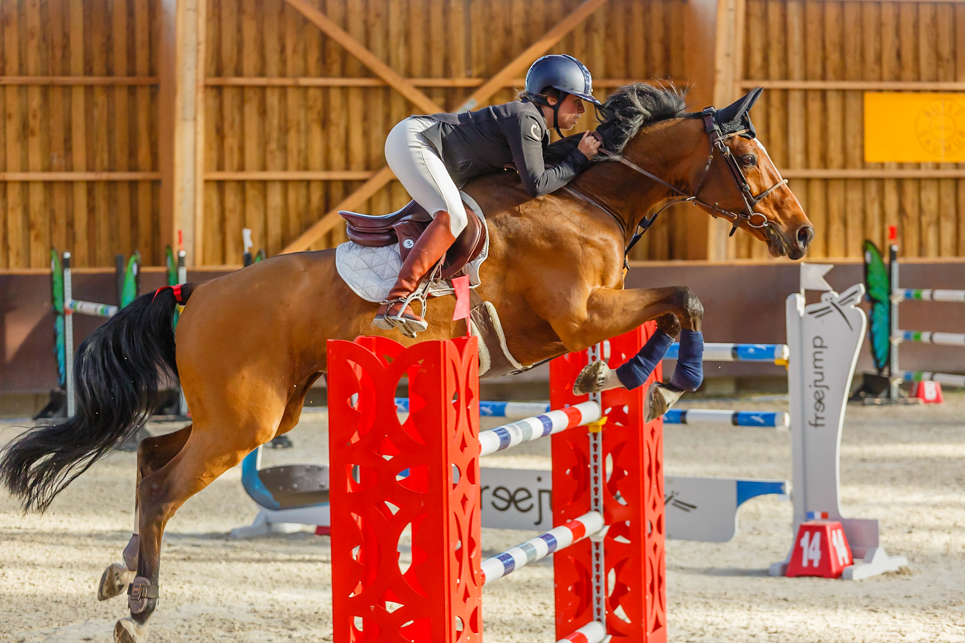 Concours hippique Liverdy-en Brie (77)