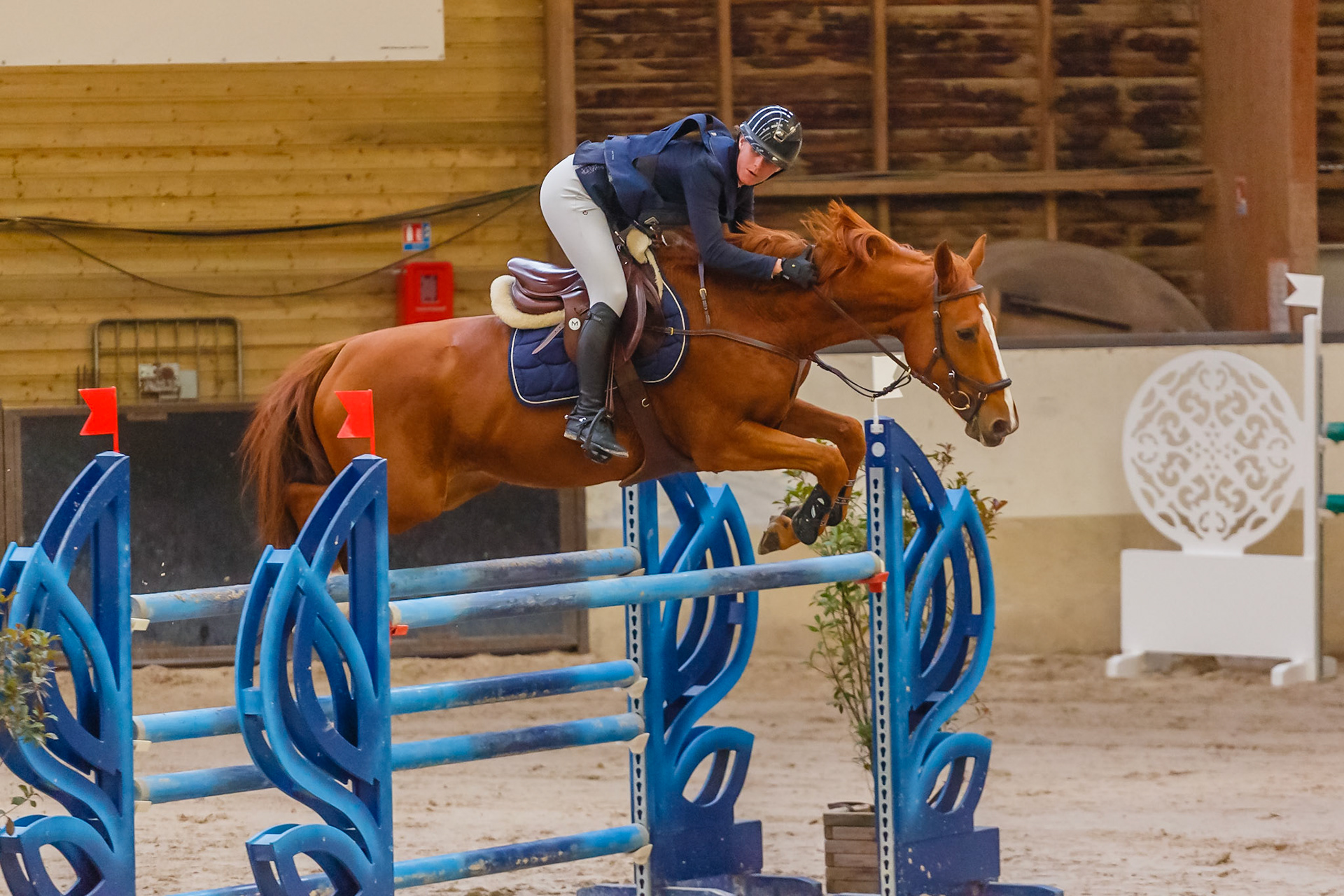 CSO Ozoir-la-Ferrière (77)