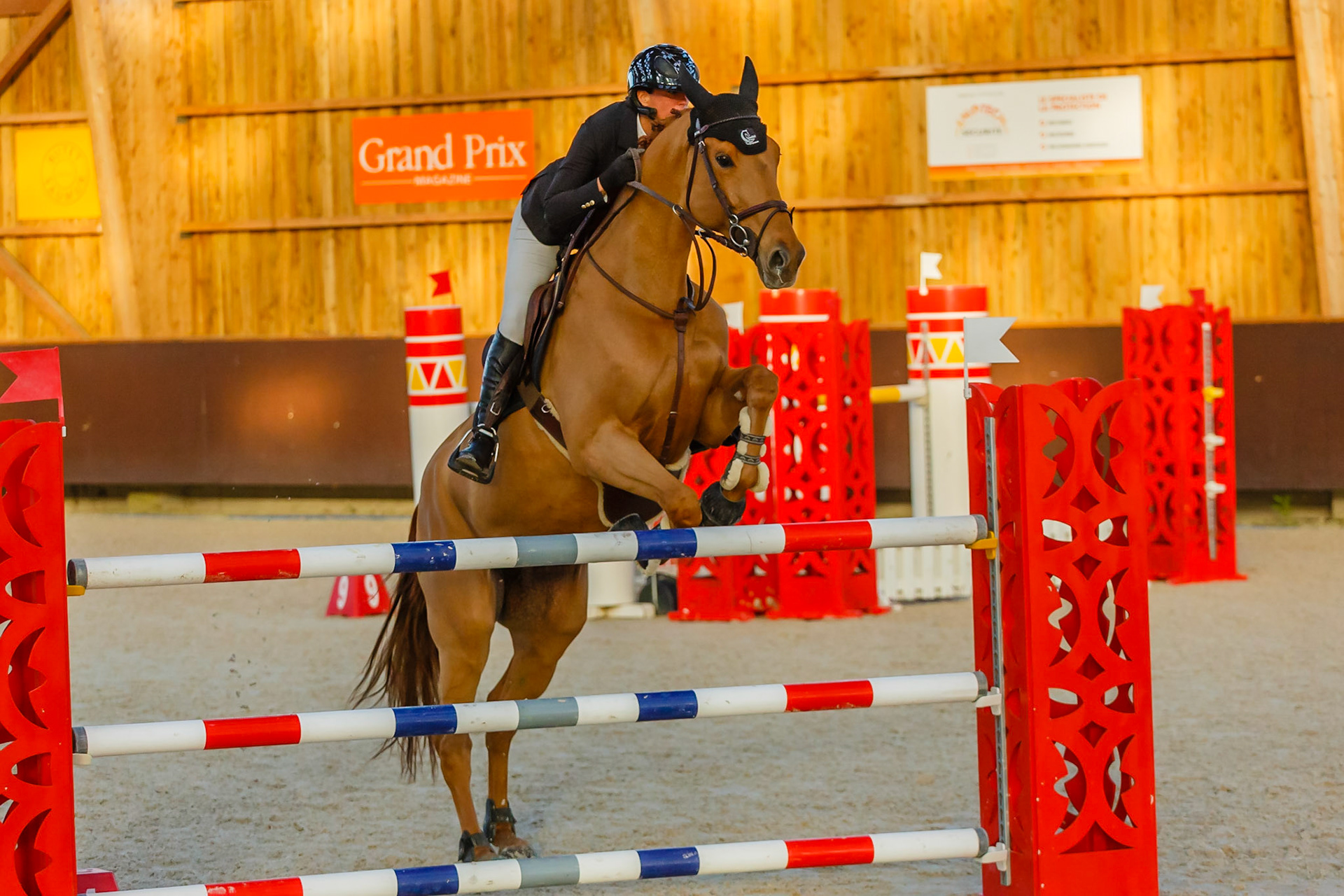 Concours hippique Liverdy-en Brie (77)