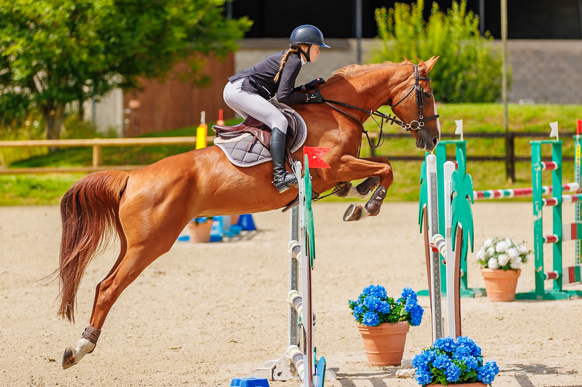 13 juillet 2024 / Haras de Liverdy-en-Brie / Seine-et-Marne / Saut d'obstacles Amateur 1  Grand Prix (1.20 m)