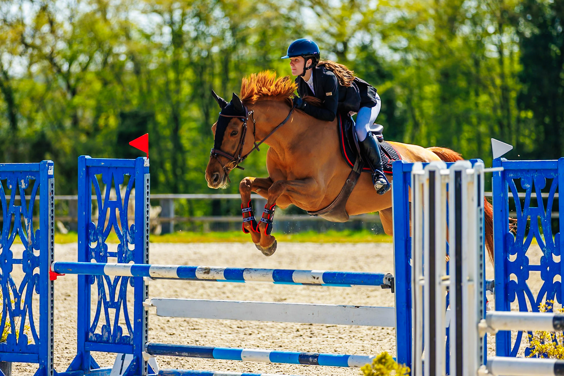 CSO Haras de Monthomé 32