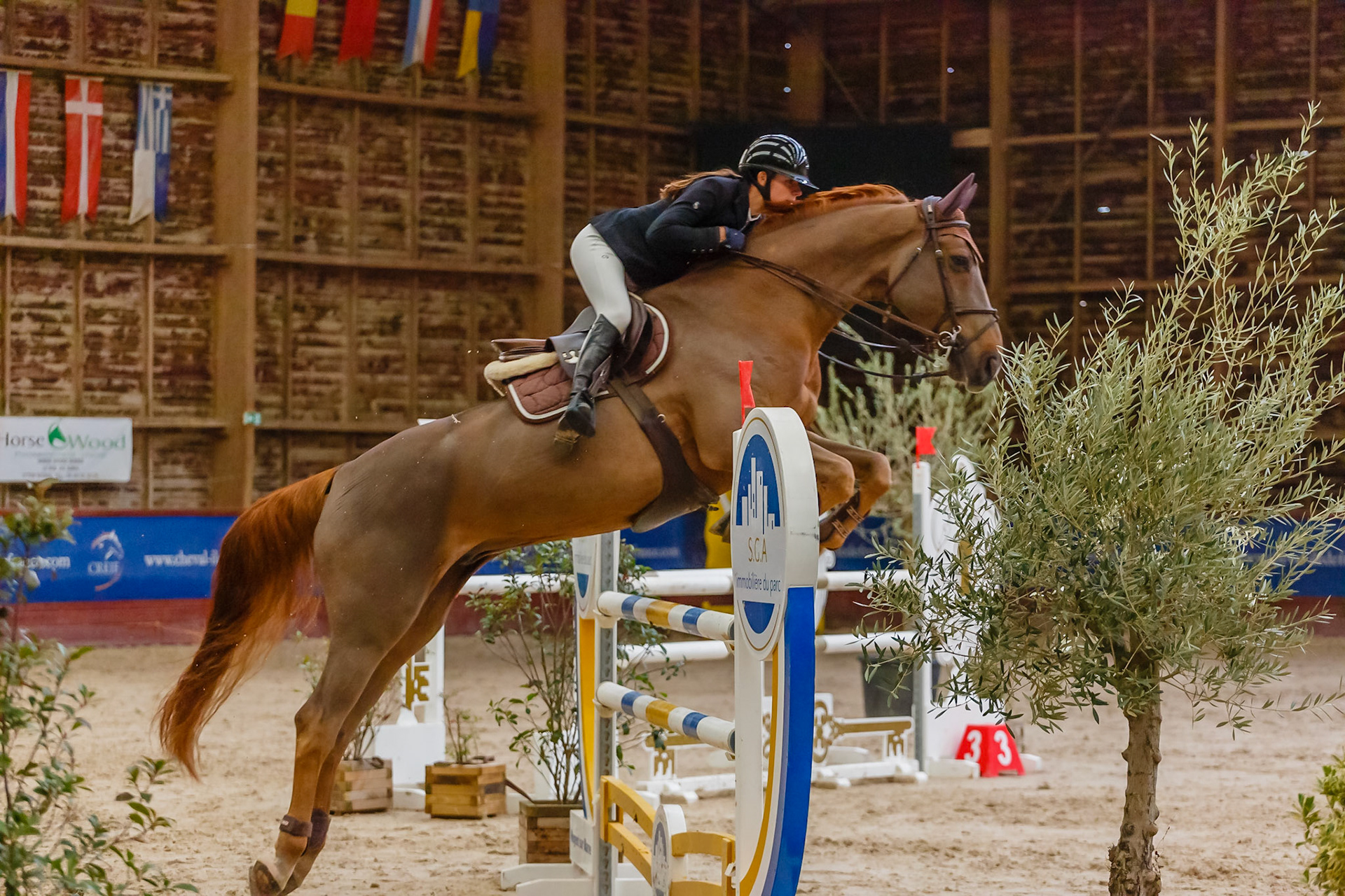 CSO Ozoir-la-Ferrière (77)