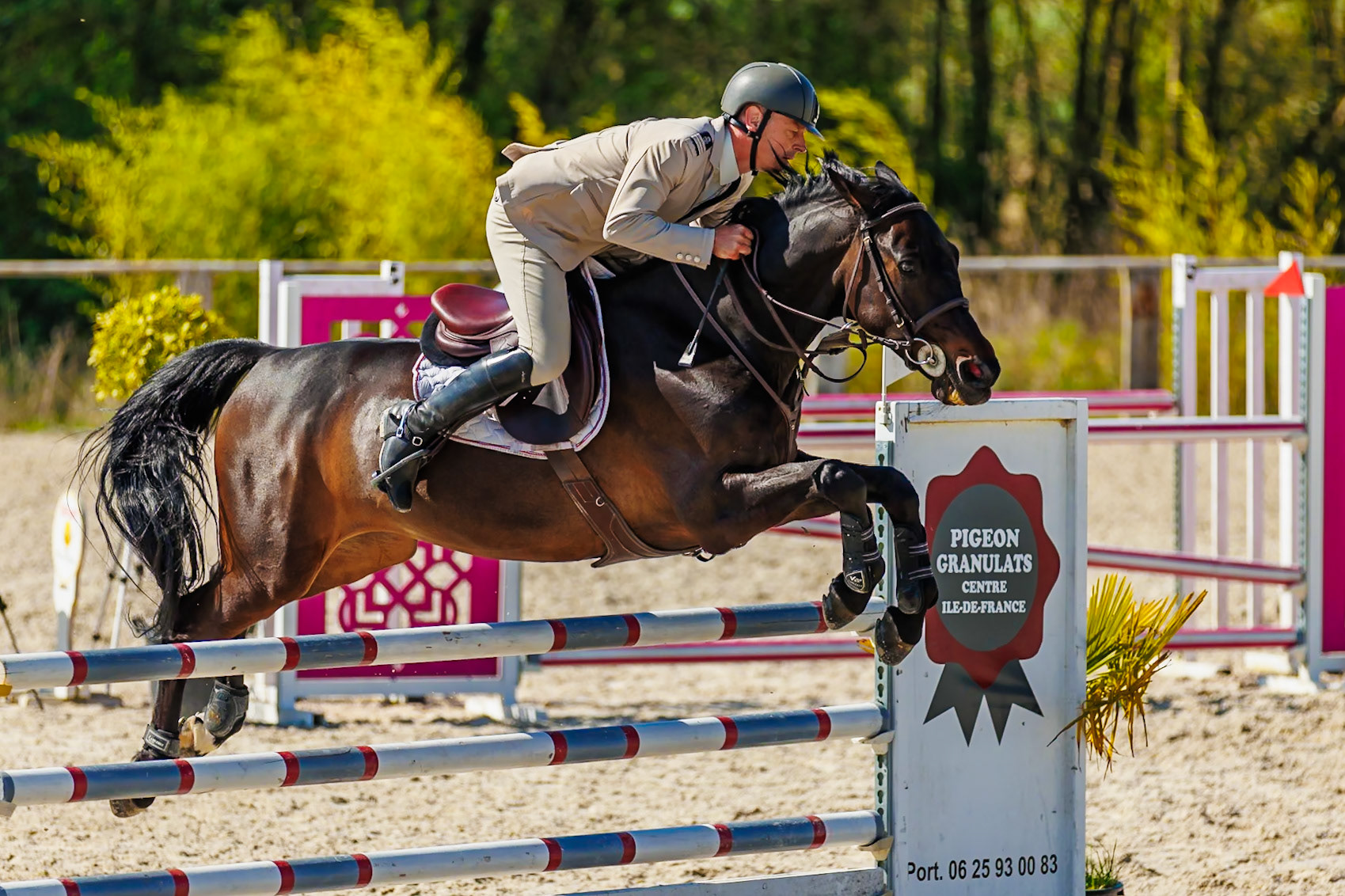 CSO Haras de Monthomé 77
