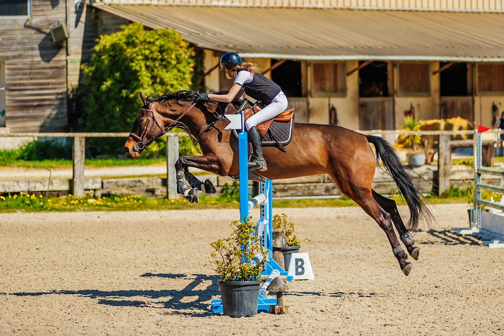 CSO Haras de Monthomé 38