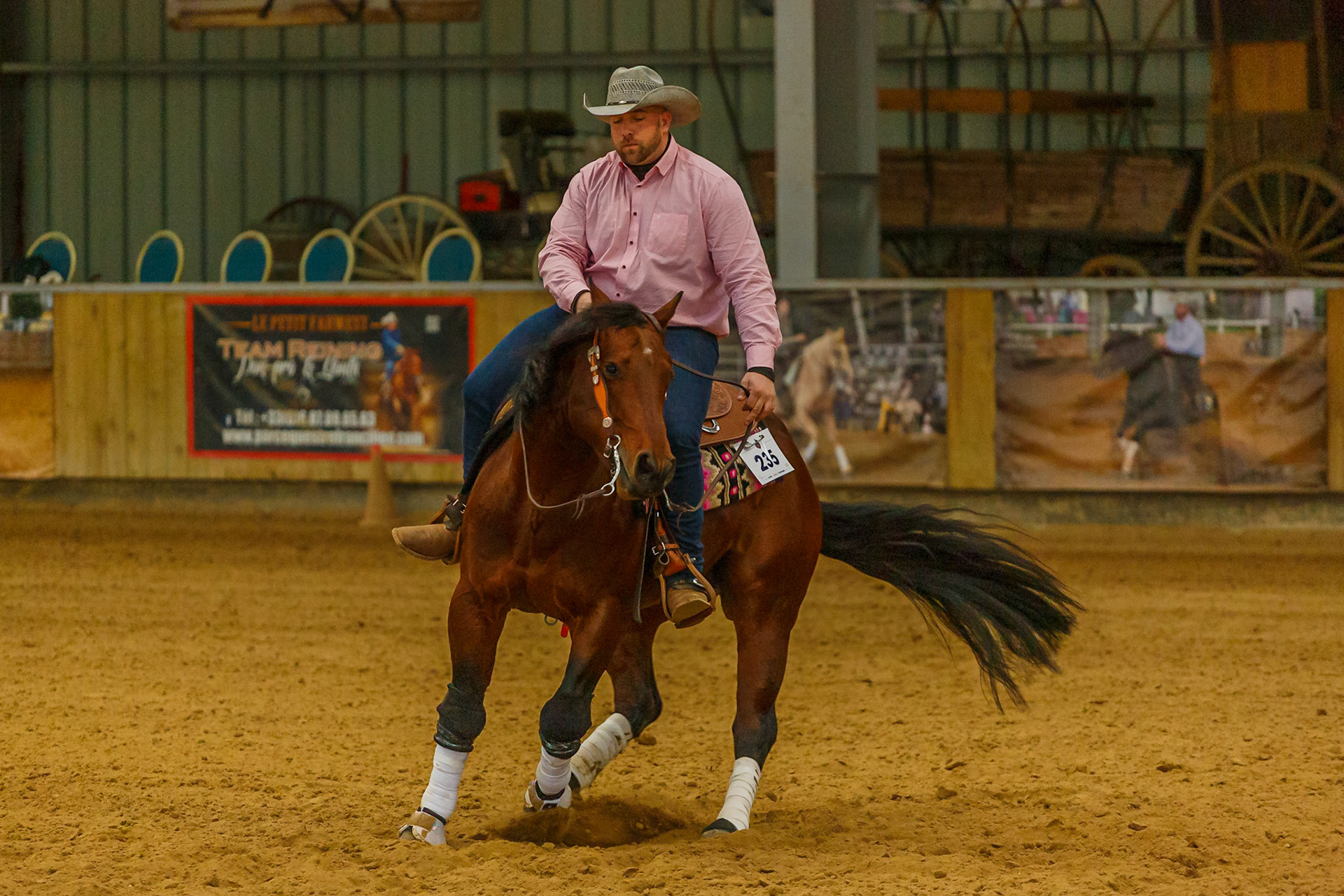 Equitation western Le Pin 12 mars 2022