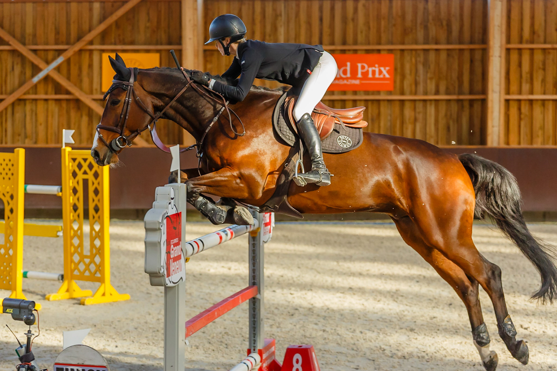 Concours hippique Liverdy-en Brie (77)