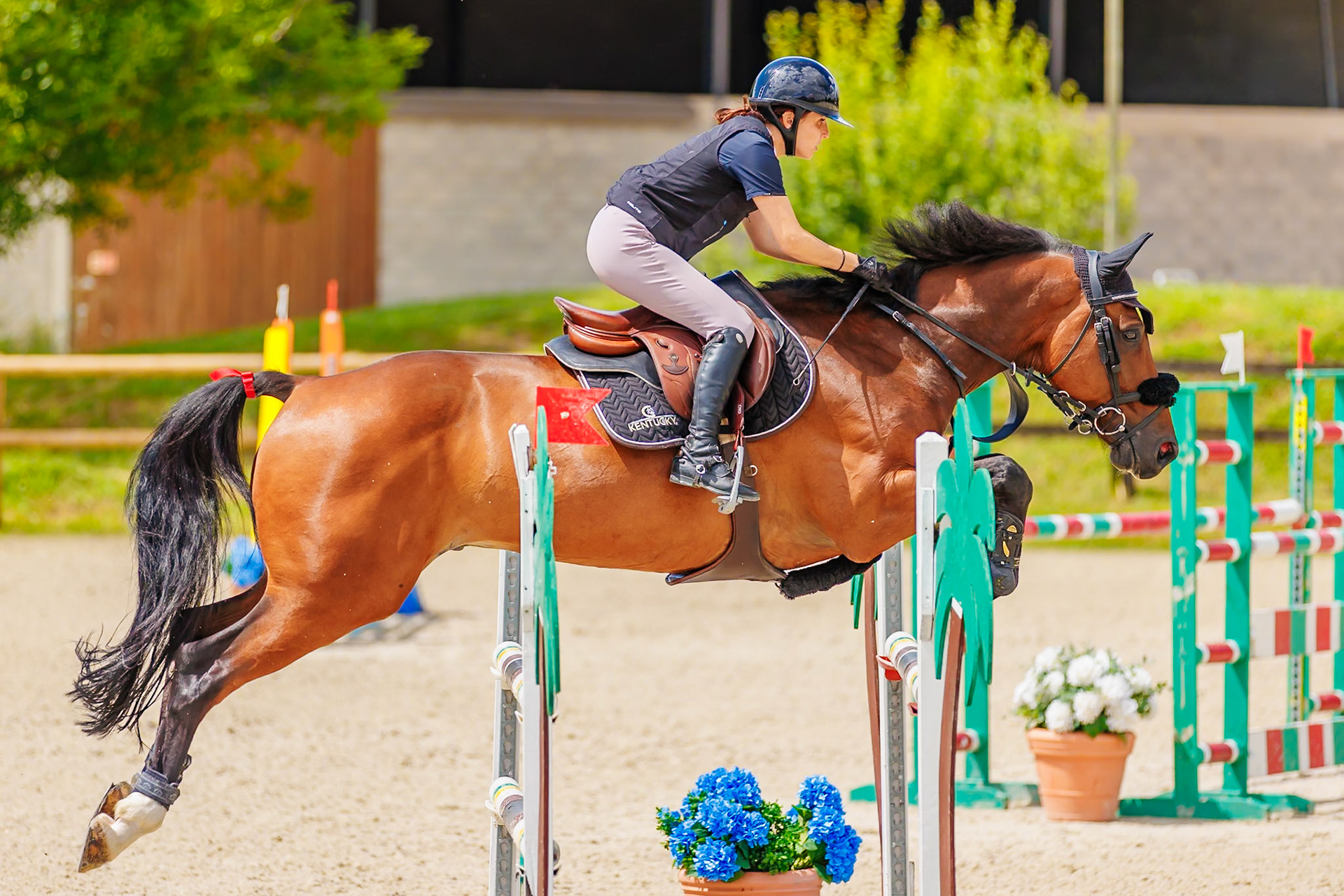 13 juillet 2024 / Haras de Liverdy-en-Brie / Seine-et-Marne / Saut d'obstacles Amateur 1  Grand Prix (1.20 m)