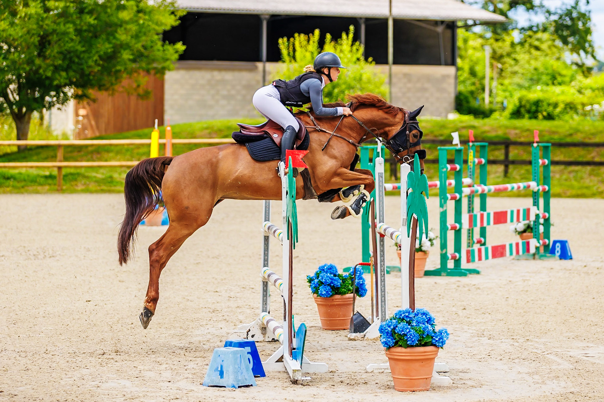 13 juillet 2024 / Haras de Liverdy-en-Brie / Seine-et-Marne / Saut d'obstacles Pro 3 Grand Prix (1.25 m)