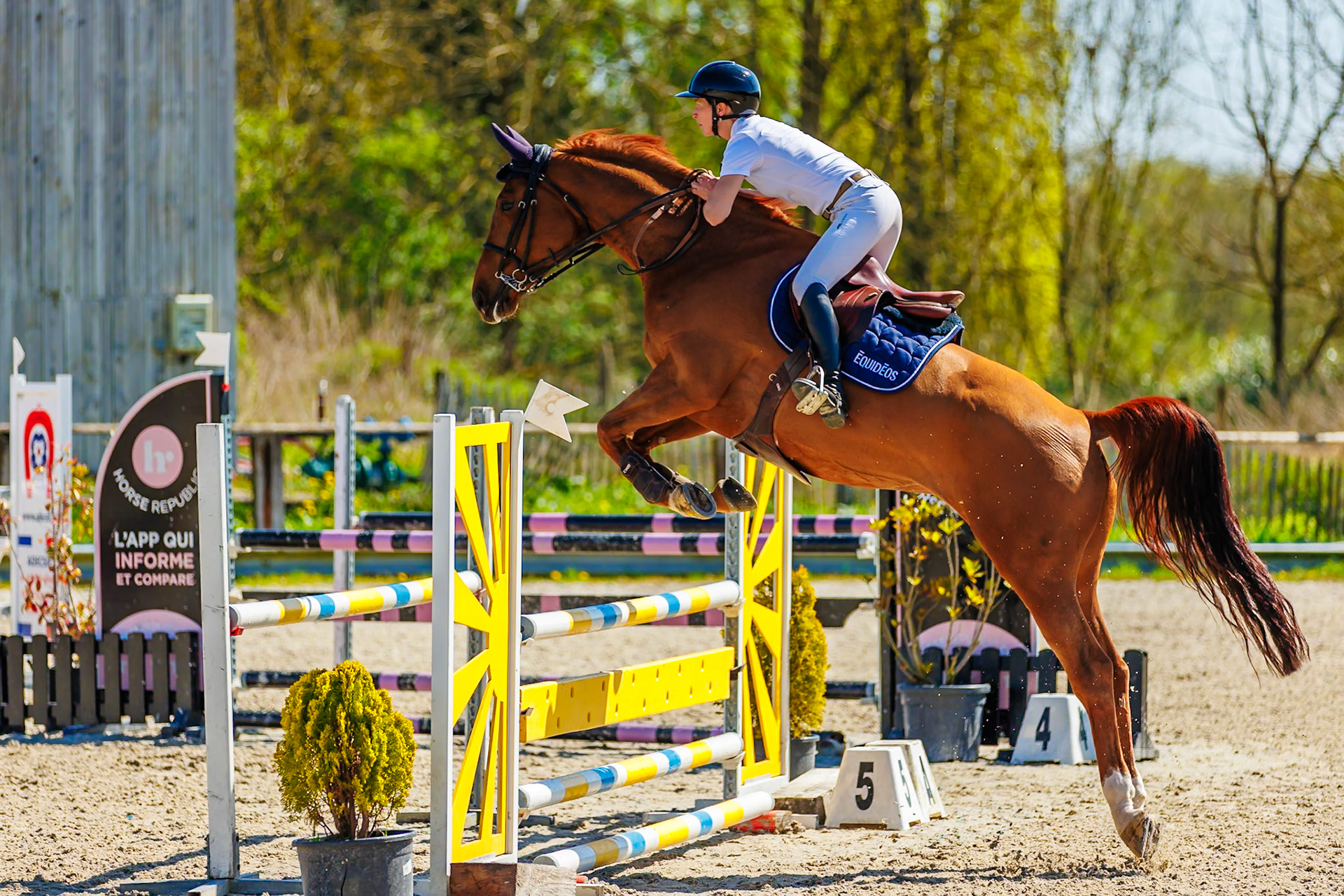 CSO Haras de Monthomé 21