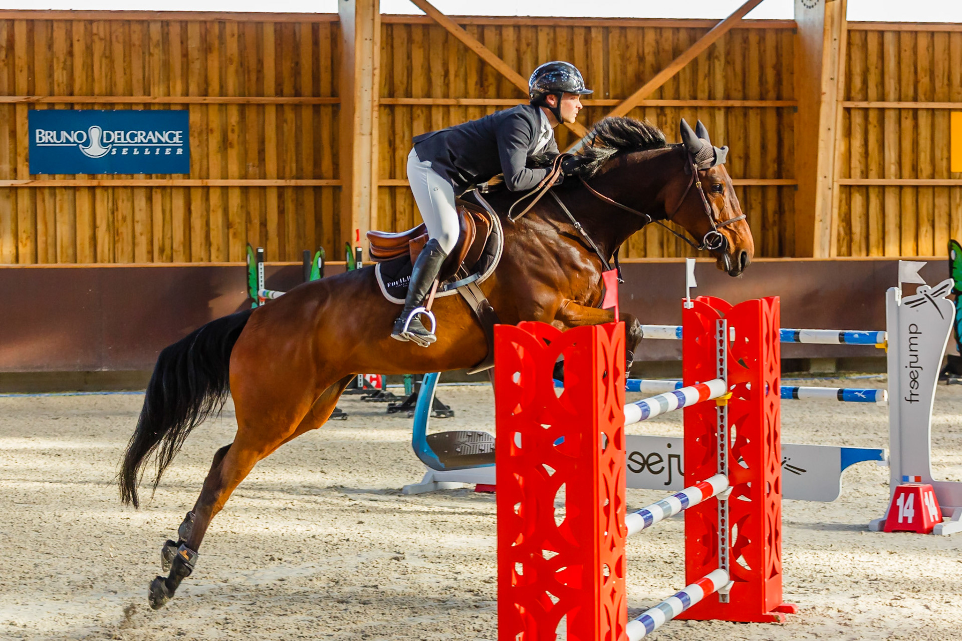 Concours hippique Liverdy-en Brie (77)