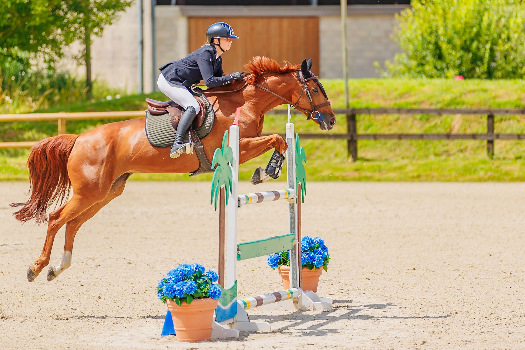 13 juillet 2024 / Haras de Liverdy-en-Brie / Seine-et-Marne / Saut d'obstacles Amateur 1  Grand Prix (1.20 m)