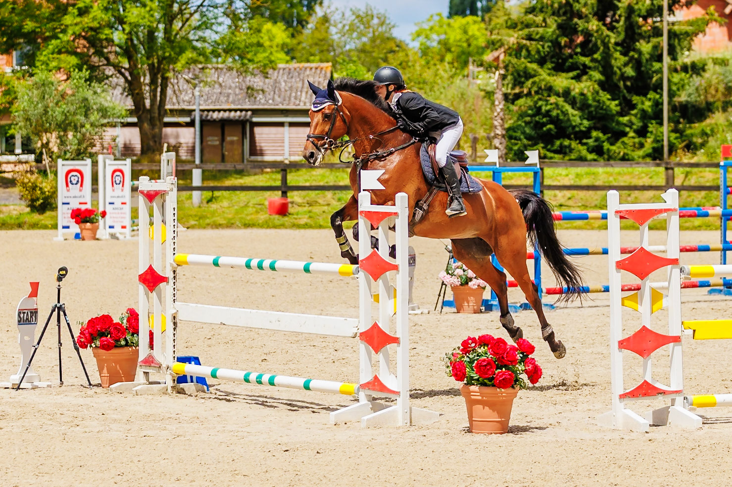 13 juillet 2024 / Haras de Liverdy-en-Brie / Seine-et-Marne / Saut d'obstacles Pro 3 Grand Prix (1.25 m)