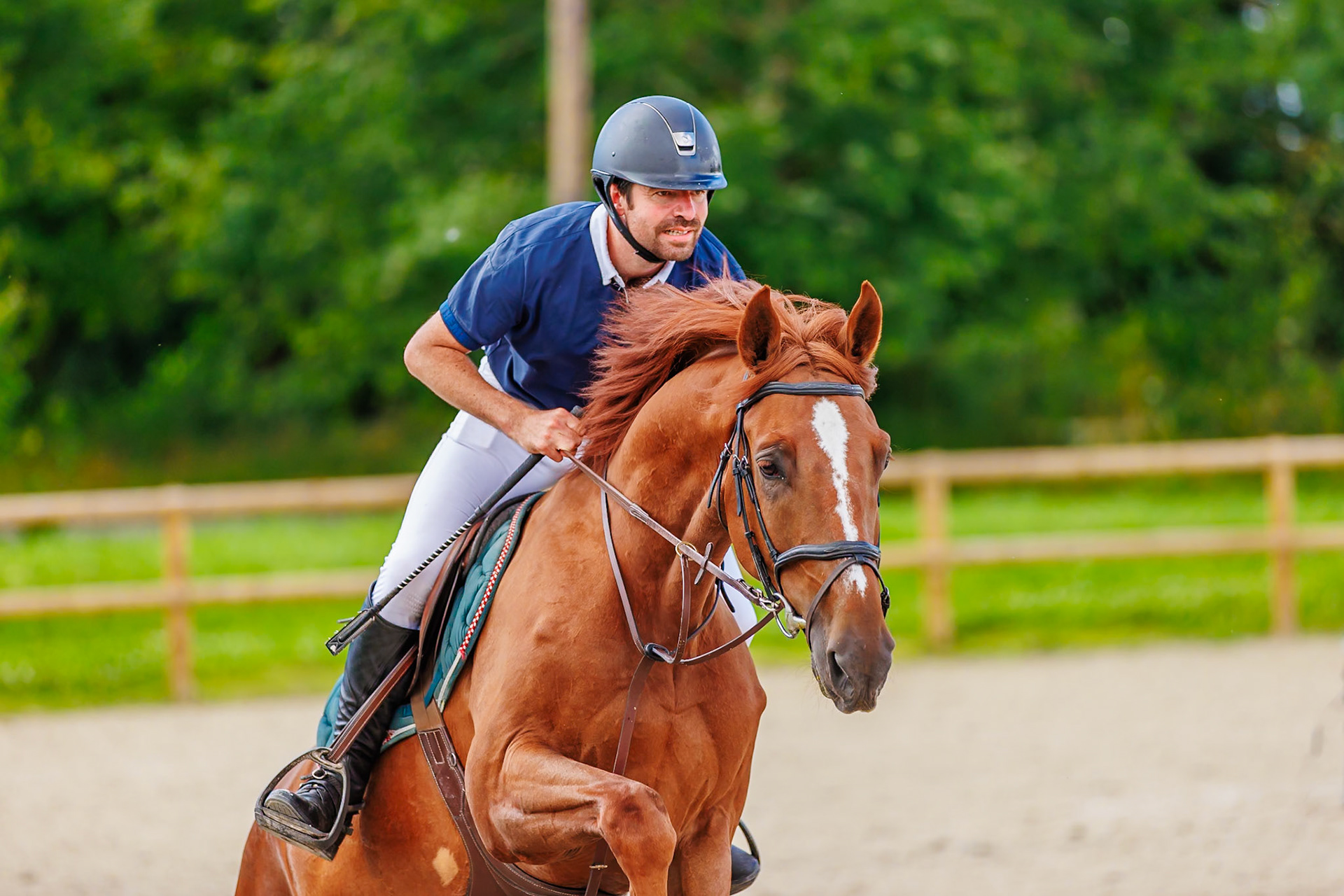 13 juillet 2024 / Haras de Liverdy-en-Brie / Seine-et-Marne / Saut d'obstacles Amateur 1  Grand Prix (1.20 m)