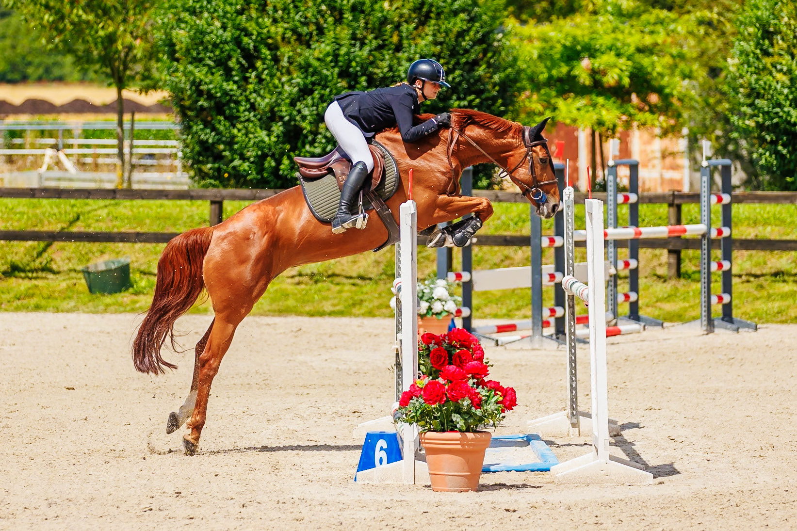 13 juillet 2024 / Haras de Liverdy-en-Brie / Seine-et-Marne / Saut d'obstacles Amateur 1  Grand Prix (1.20 m)