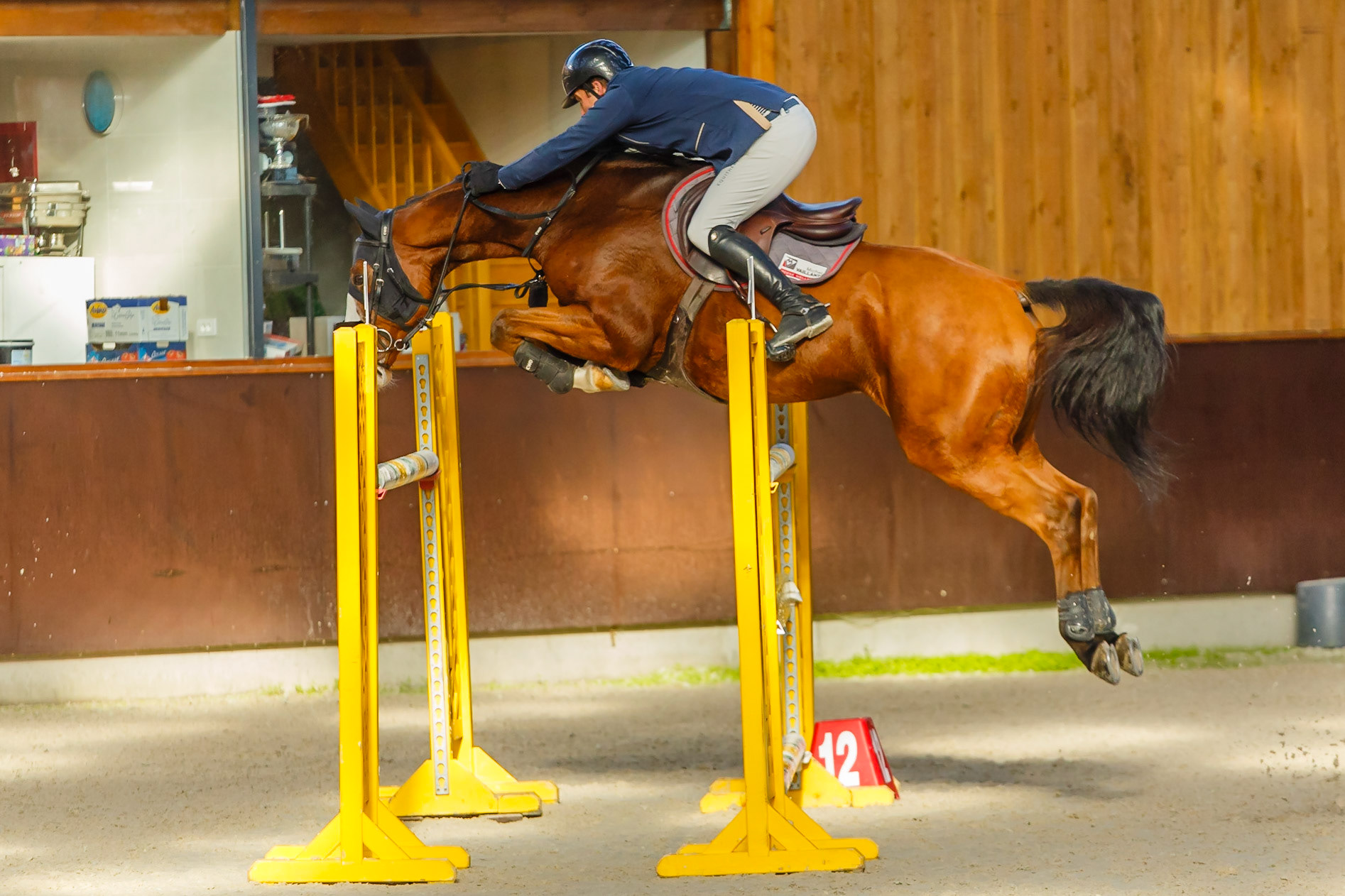 Concours hippique Liverdy-en Brie (77)