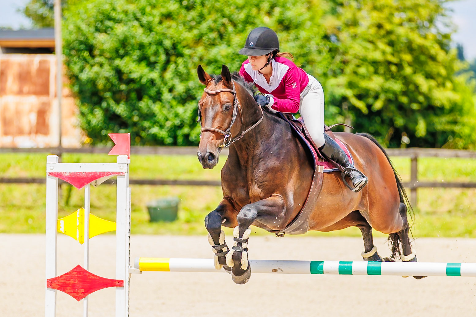 13 juillet 2024 / Haras de Liverdy-en-Brie / Seine-et-Marne / Saut d'obstacles Amateur 1  Grand Prix (1.20 m)