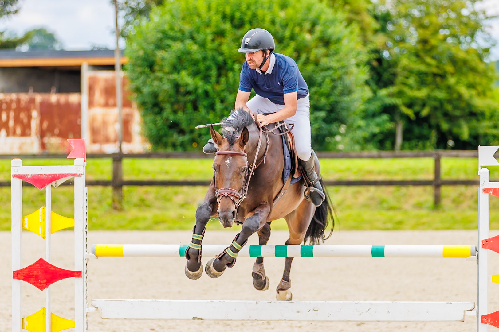 13 juillet 2024 / Haras de Liverdy-en-Brie / Seine-et-Marne / Saut d'obstacles Pro 3 Grand Prix (1.25 m)