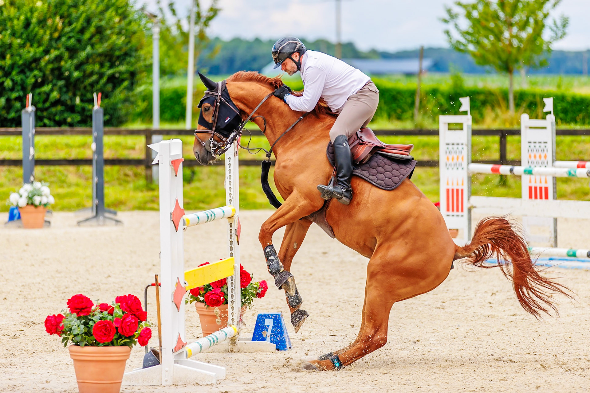 13 juillet 2024 / Haras de Liverdy-en-Brie / Seine-et-Marne / Saut d'obstacles Pro 3 Grand Prix (1.25 m)