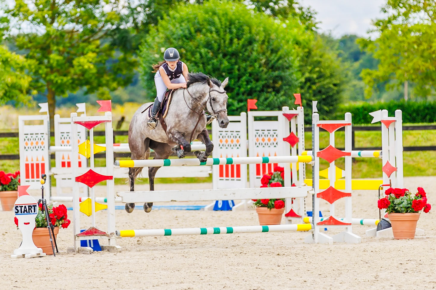 13 juillet 2024 / Haras de Liverdy-en-Brie / Seine-et-Marne / Saut d'obstacles Pro 3 Grand Prix (1.25 m)
