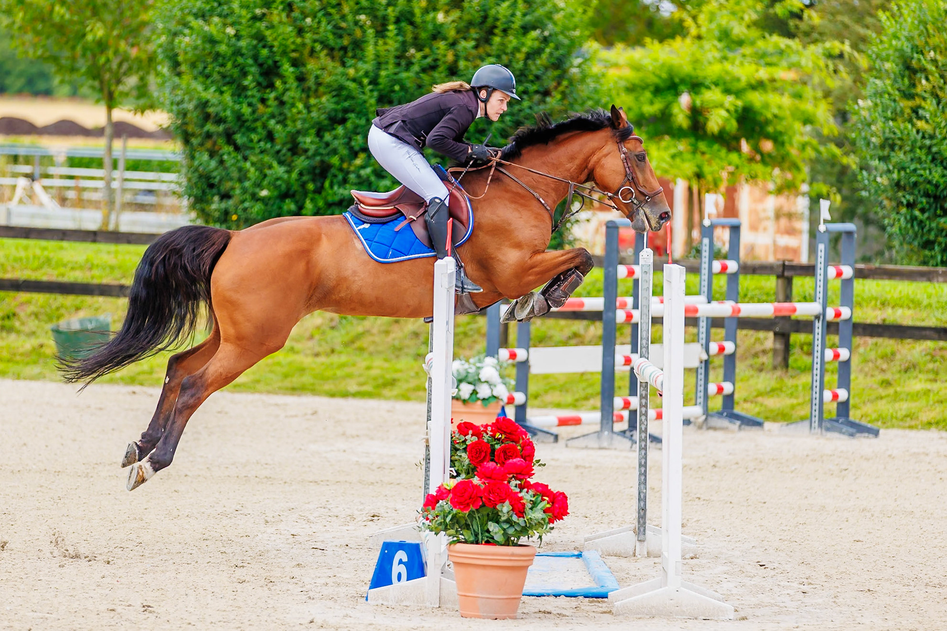 13 juillet 2024 / Haras de Liverdy-en-Brie / Seine-et-Marne / Saut d'obstacles Amateur 1  Grand Prix (1.20 m)
